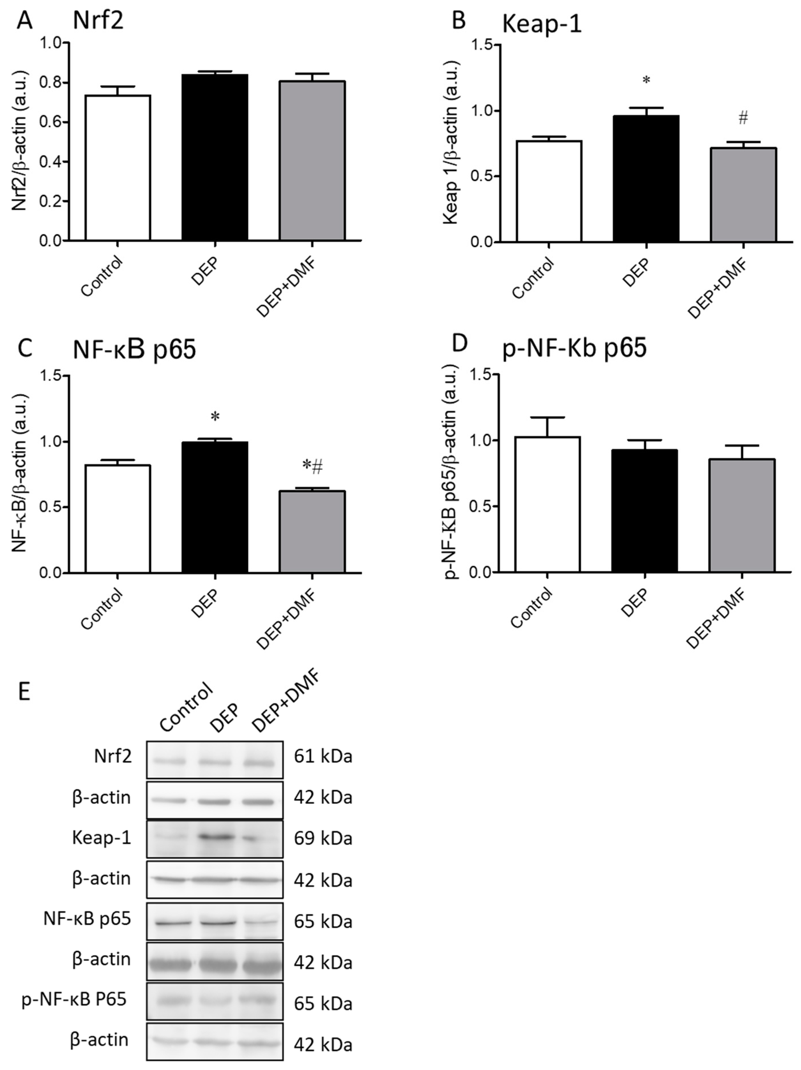 Ijms 21 09658 g003 Ijms 21 09658 g003