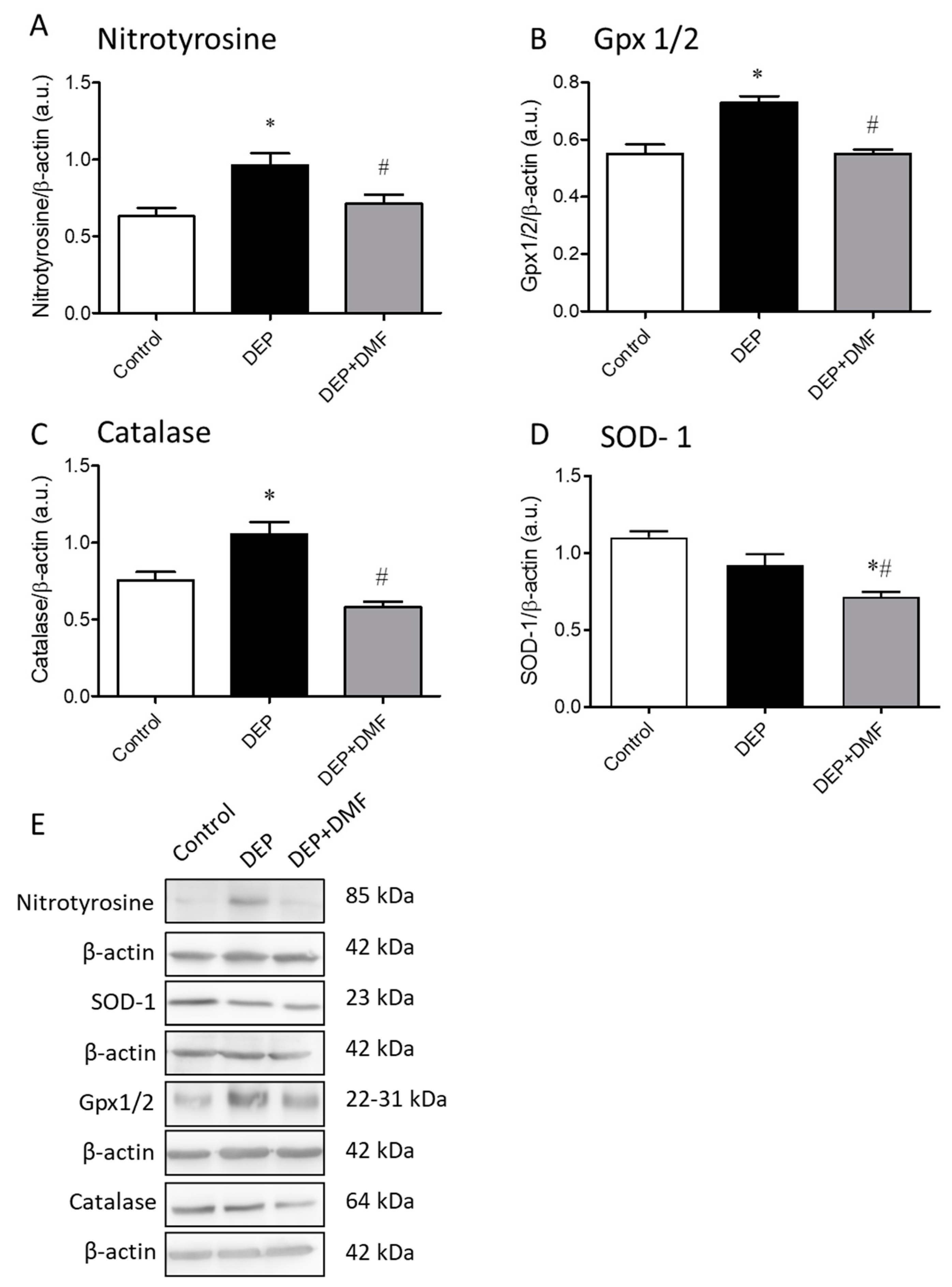 Ijms 21 09658 g004 Ijms 21 09658 g004