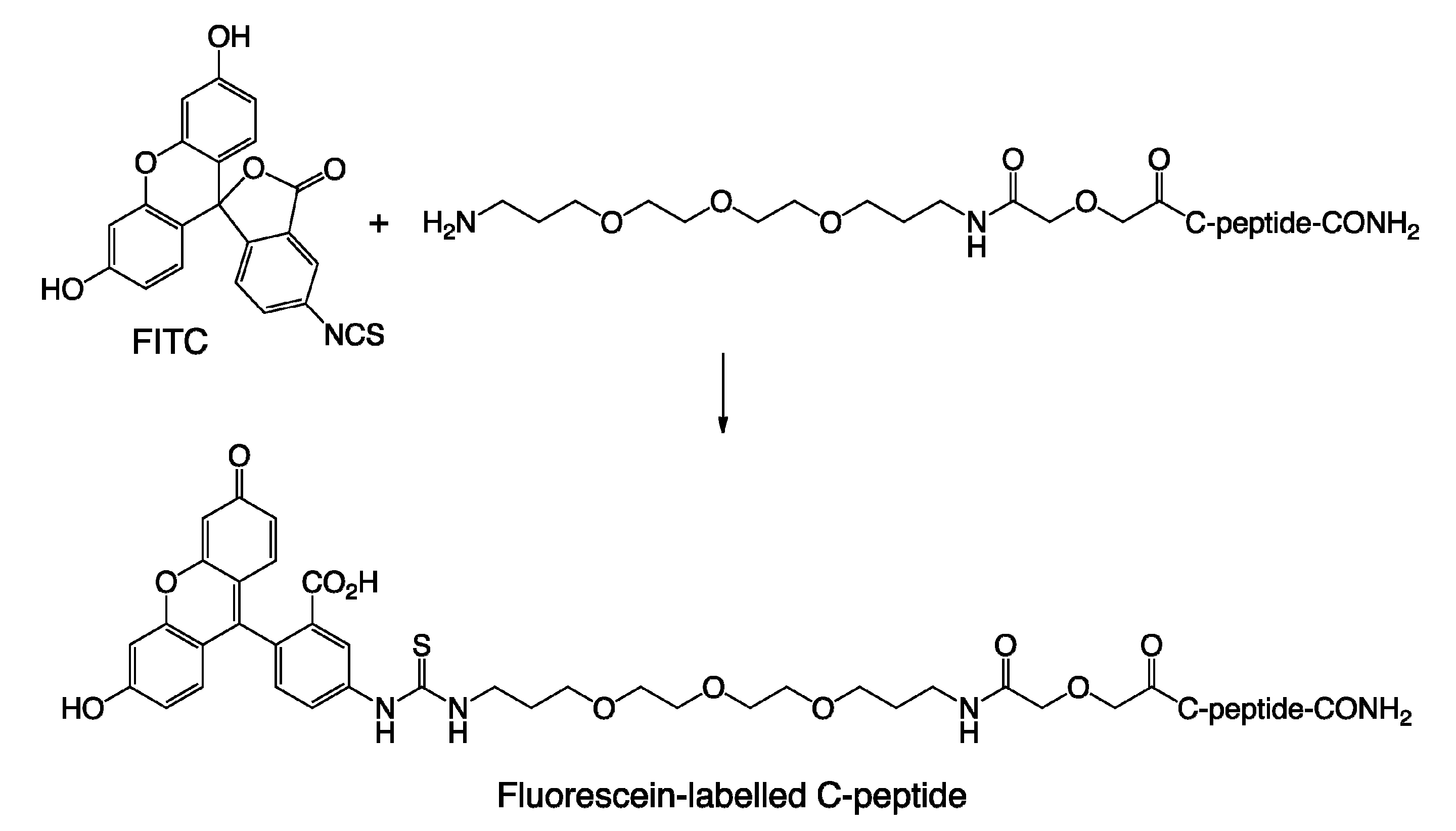 Ijms 21 09671 sch001