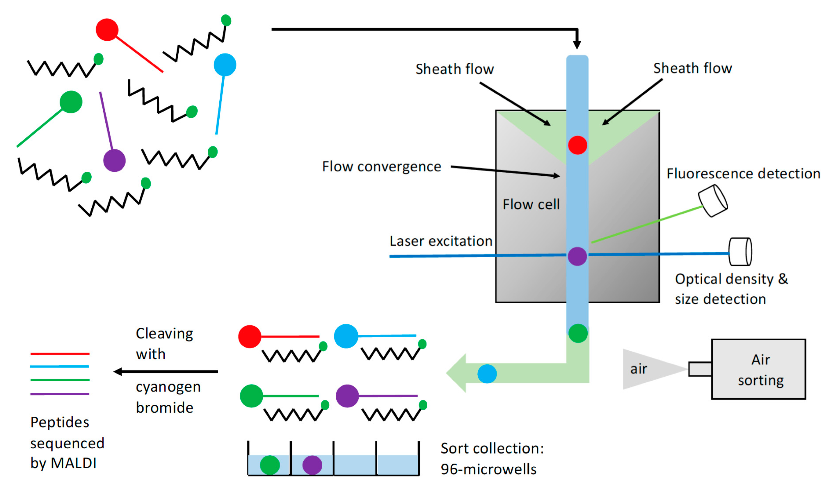 Ijms 21 09671 sch002