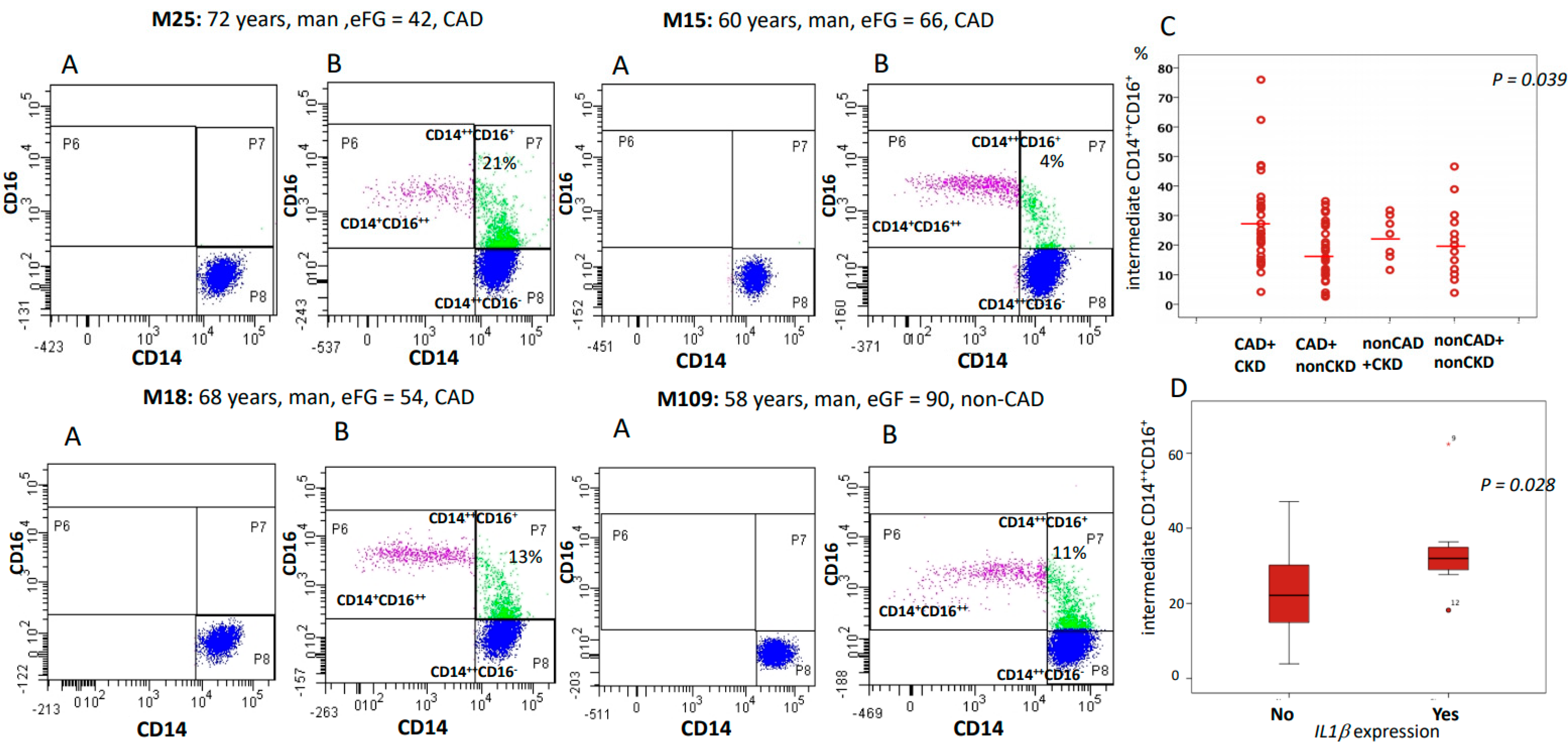 Ijms 21 09689 g004 Ijms 21 09689 g004