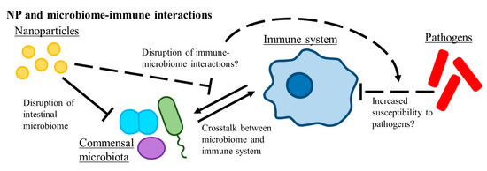 The Impact of Nanoparticles on Innate Immune Activation by Live Bacteria