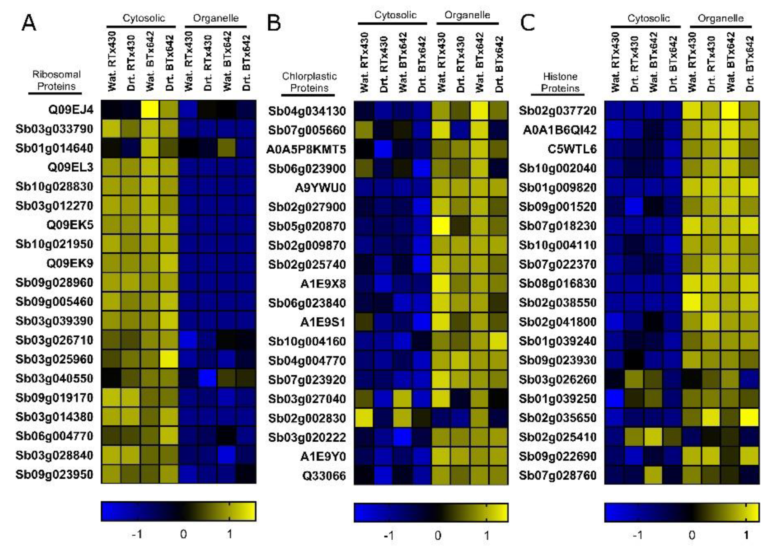 Ijms 21 09706 g001 Ijms 21 09706 g001