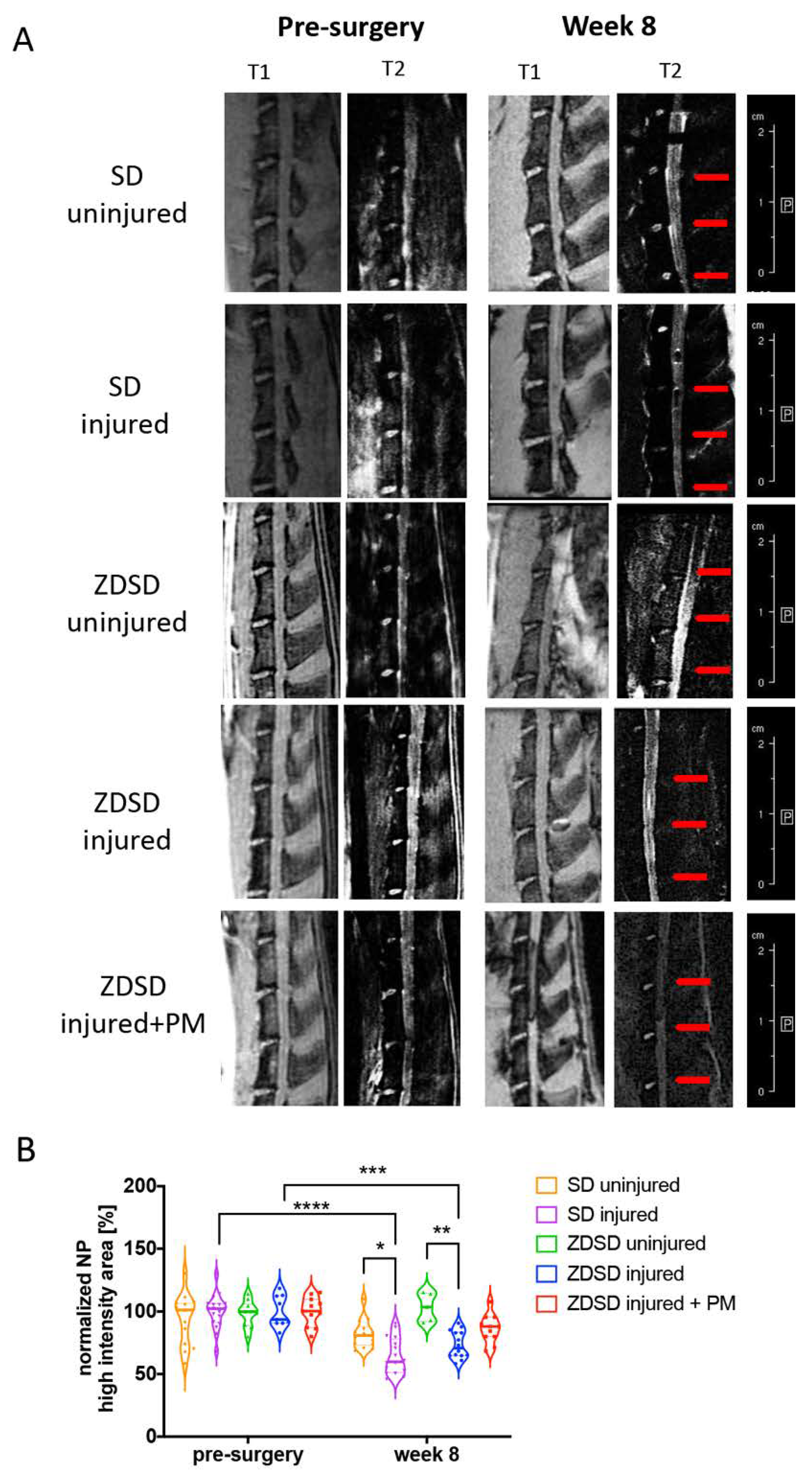 Ijms 21 09709 g002 Ijms 21 09709 g002