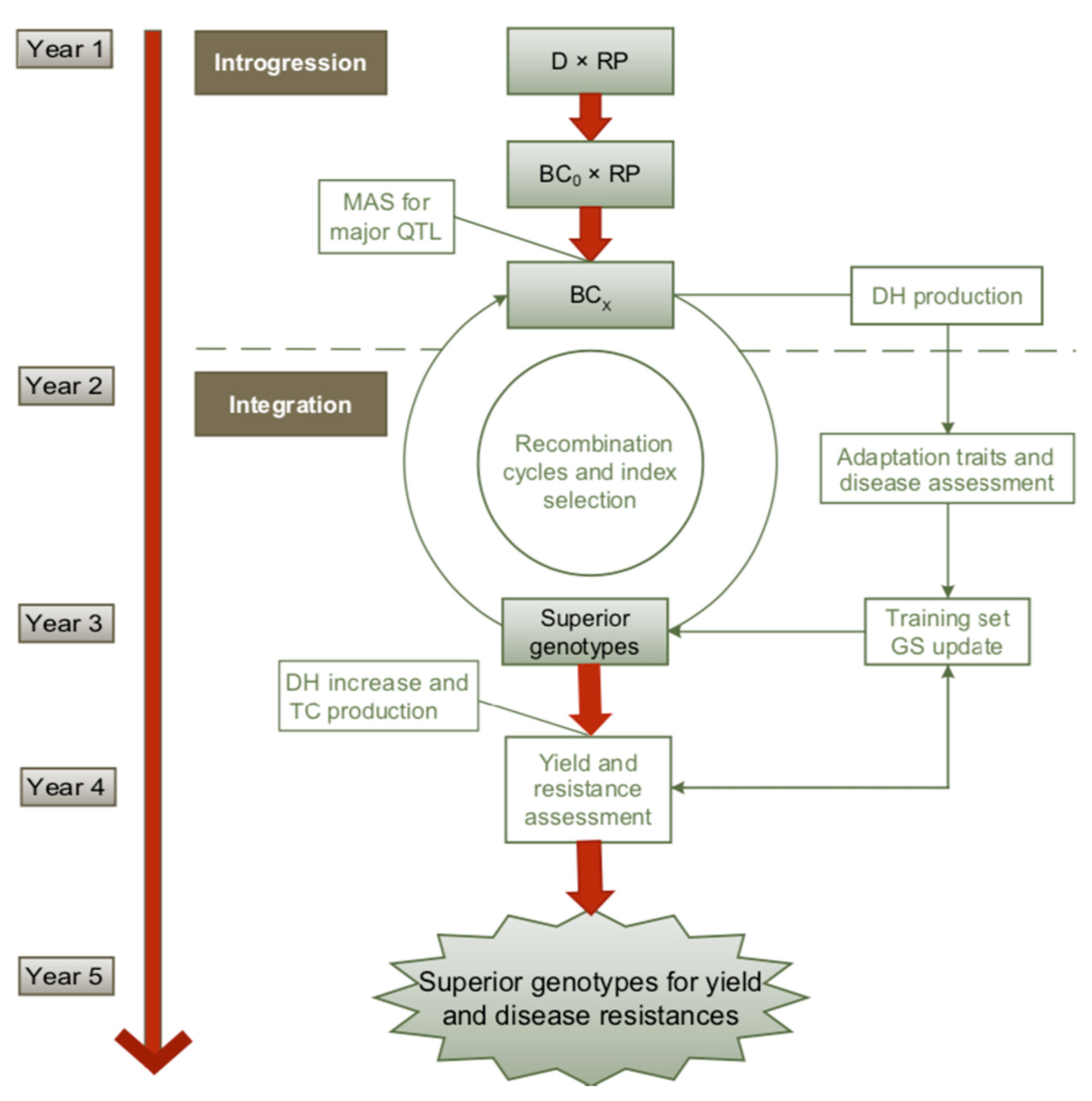 Ijms Free Full Text Genomics Assisted Breeding For Quantitative Disease Resistances In Small Grain Cereals And Maize Html