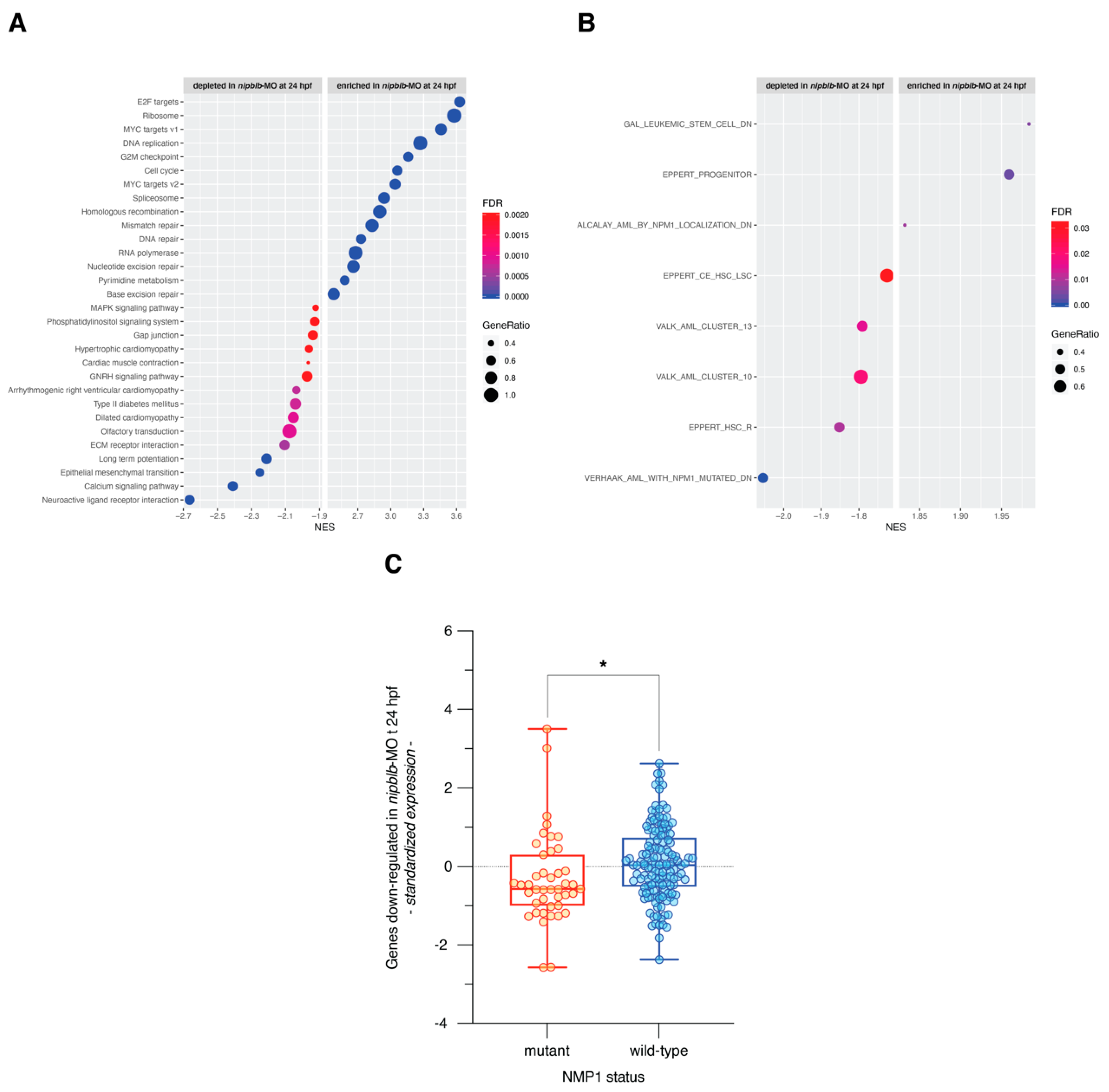 Ijms 21 09719 g004 Ijms 21 09719 g004