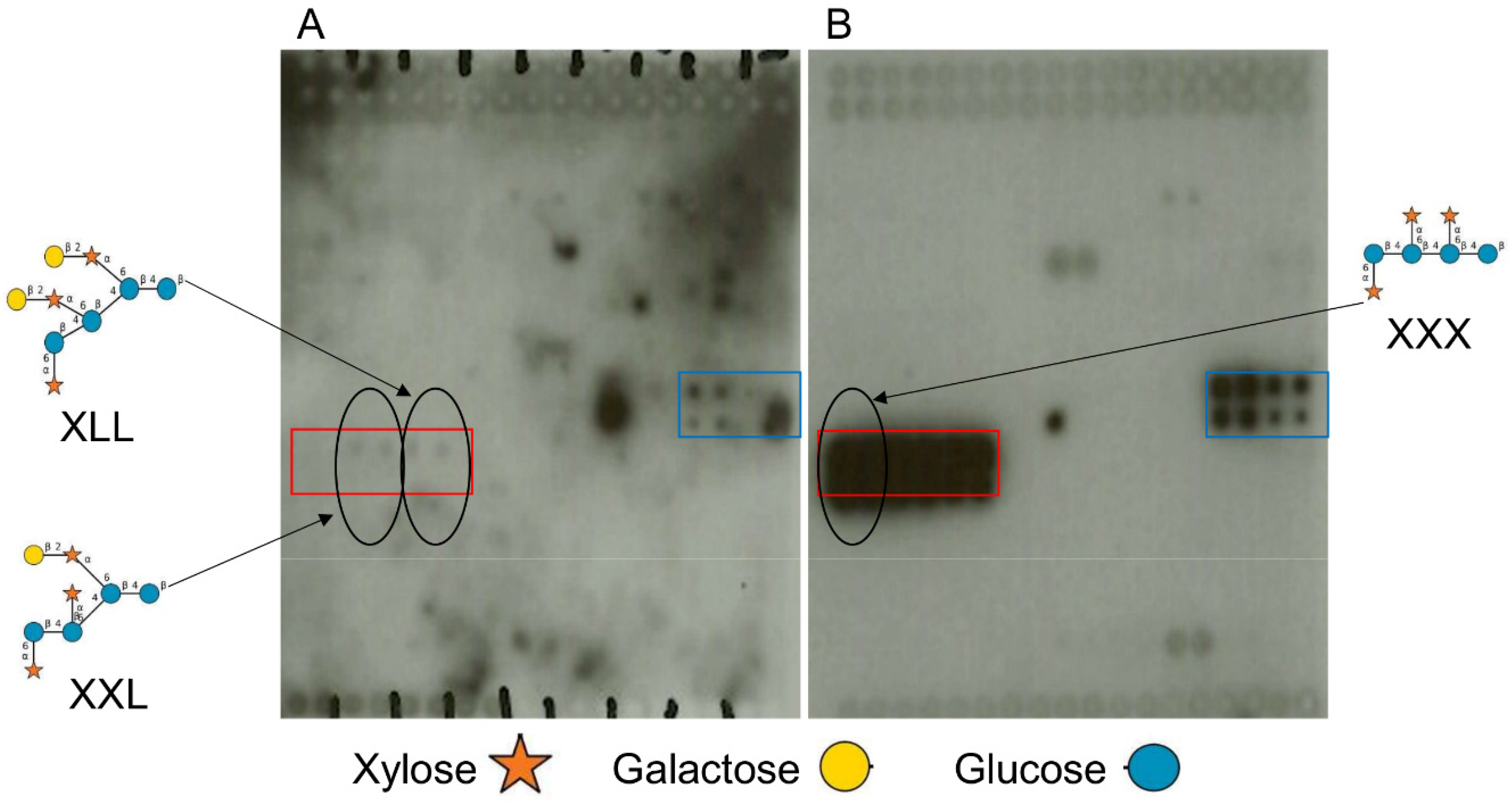 Ijms 21 09720 g002 Ijms 21 09720 g002