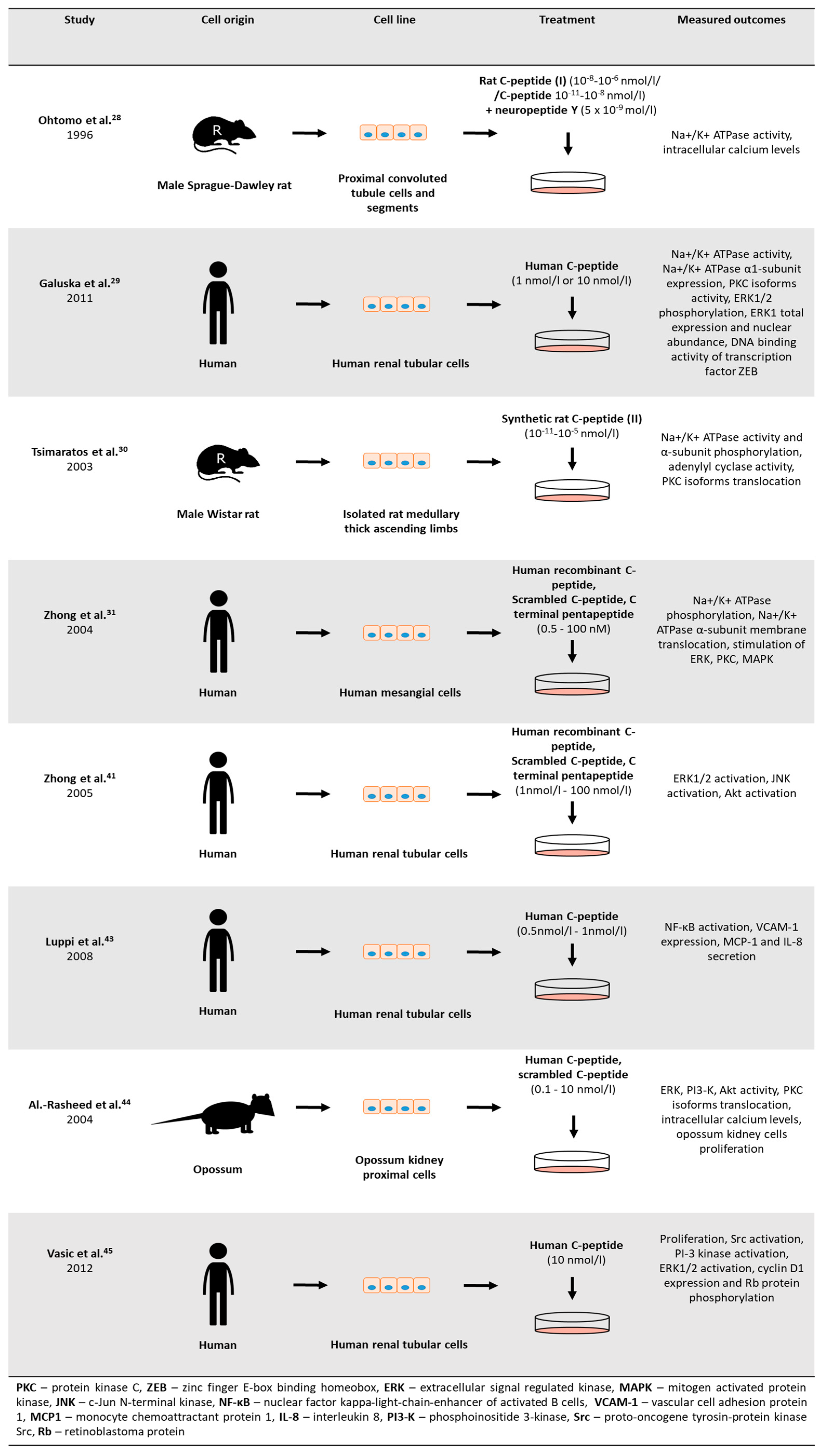 Ijms Free Full Text Biological Activity Of C Peptide In Microvascular Complications Of Type 1 Diabetes Time For Translational Studies Or Back To The Basics Html