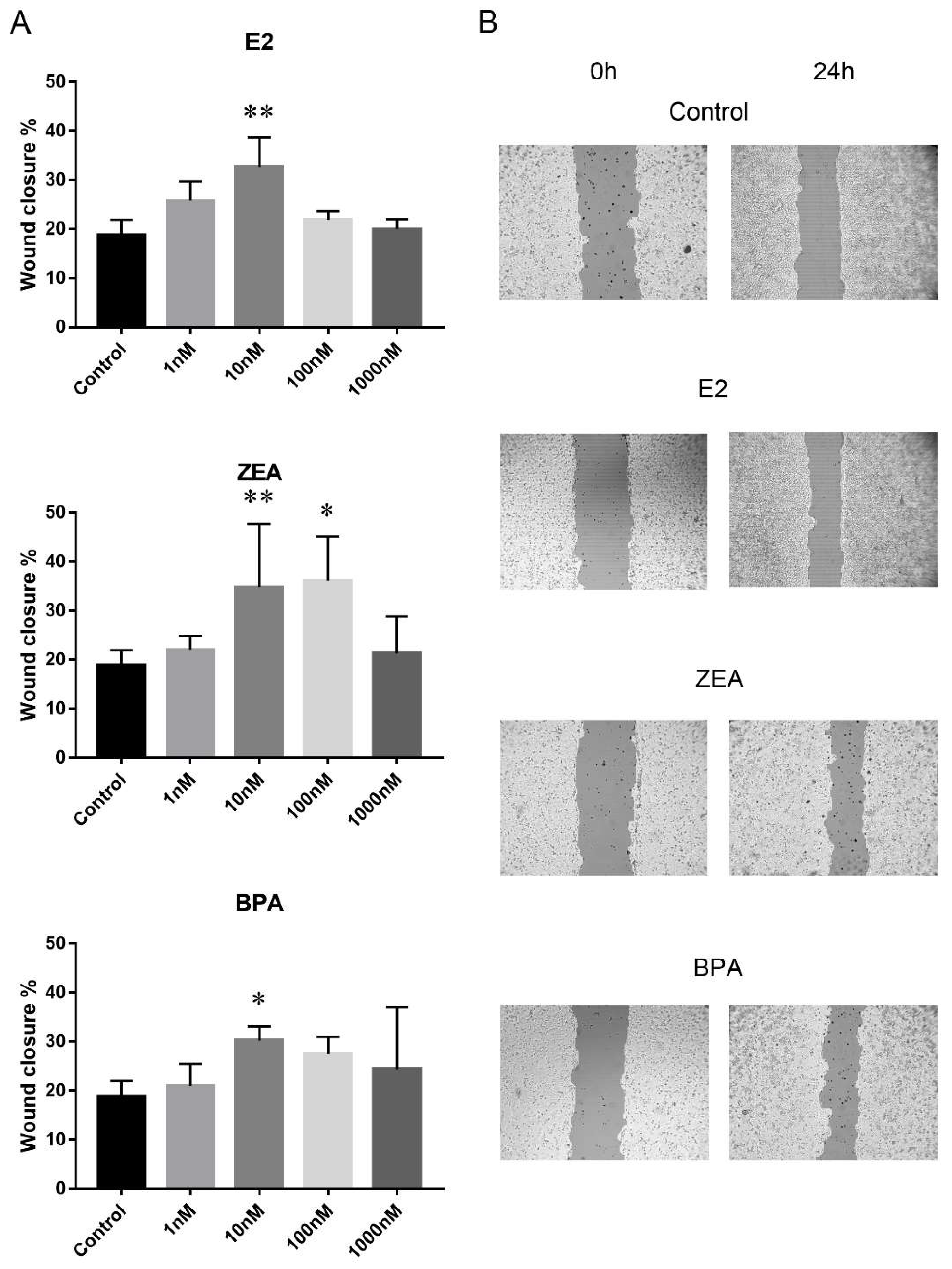 Ijms 21 09725 g002 Ijms 21 09725 g002