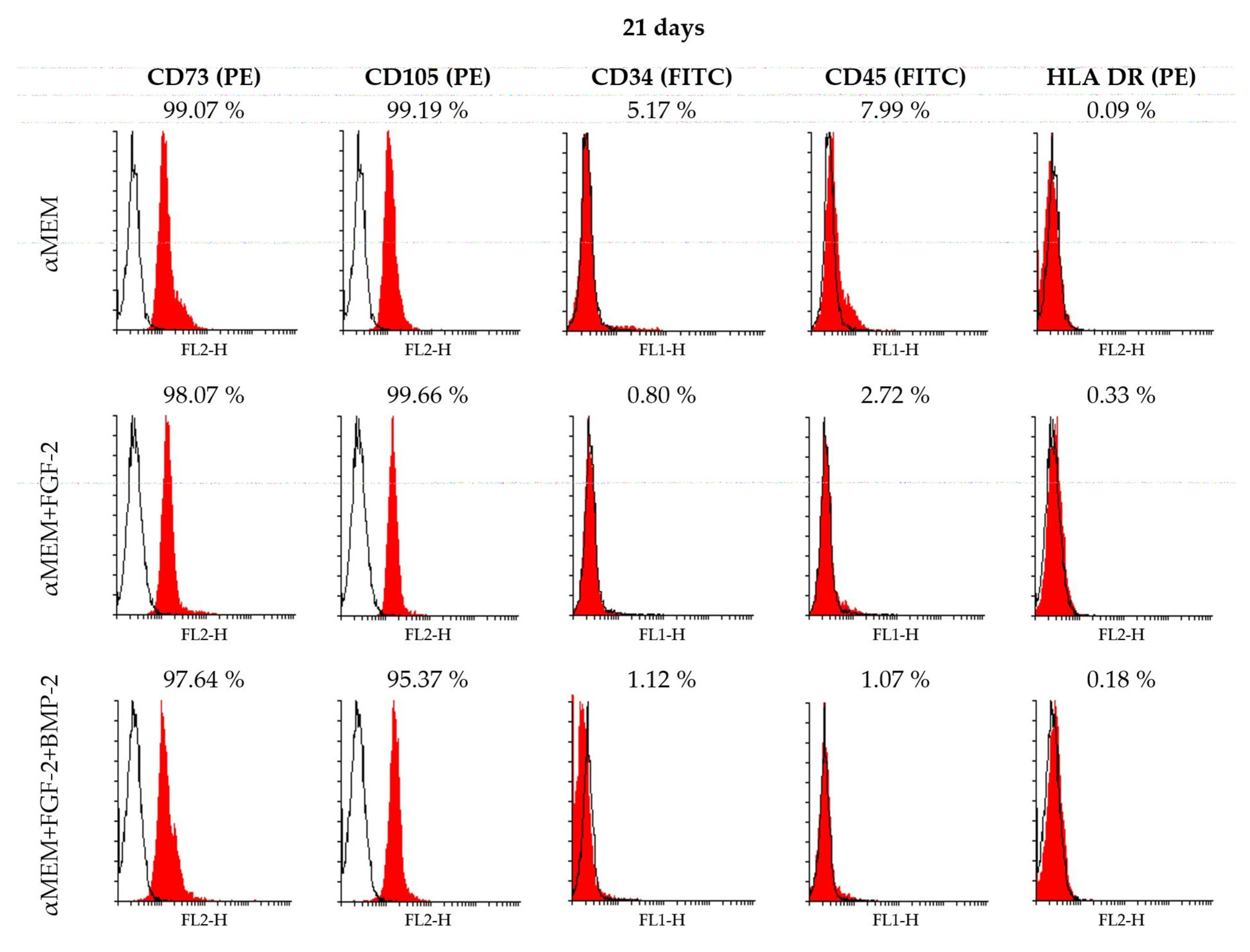 Ijms 21 09726 g003 Ijms 21 09726 g003