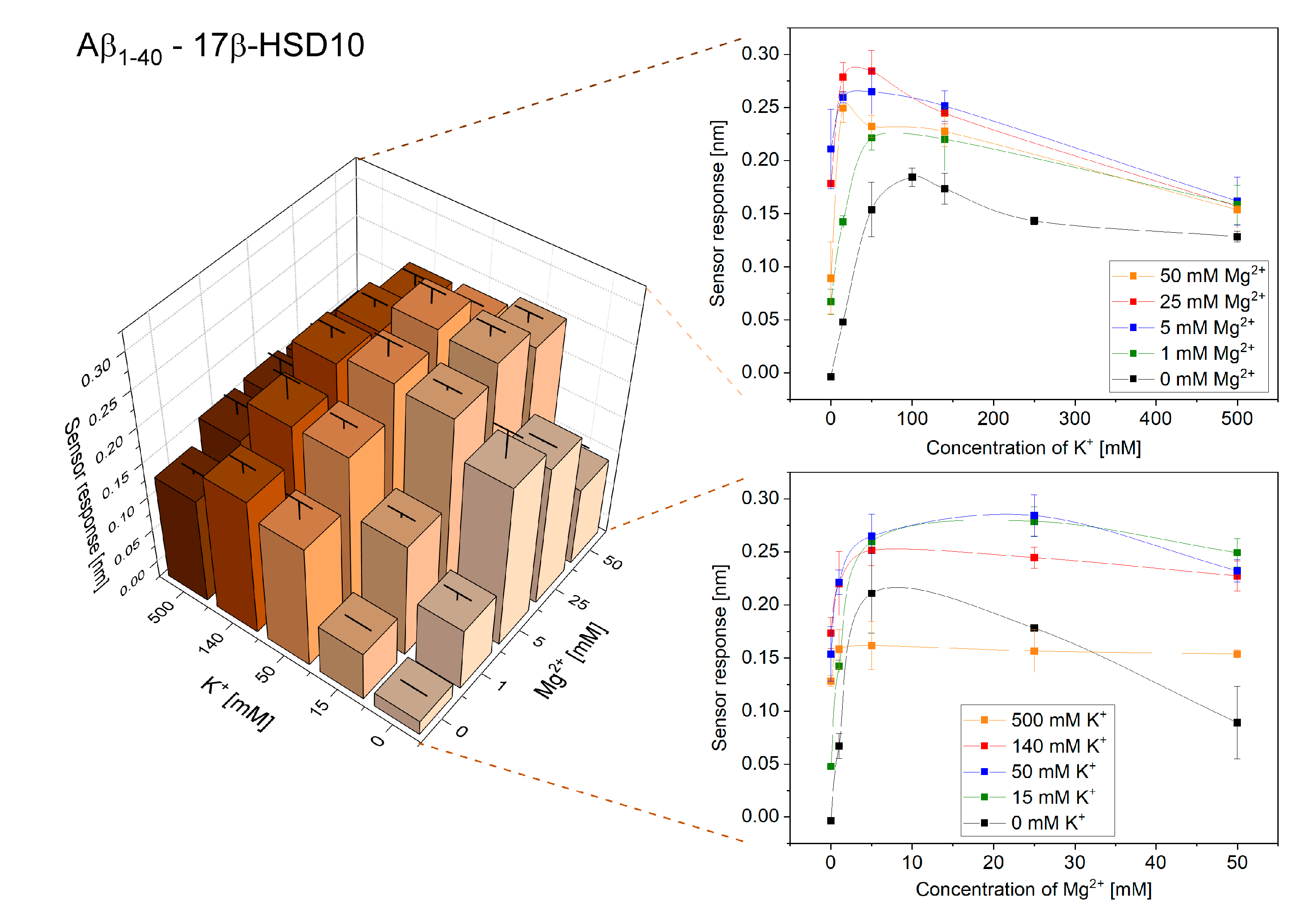Ijms 21 09727 g004 Ijms 21 09727 g004