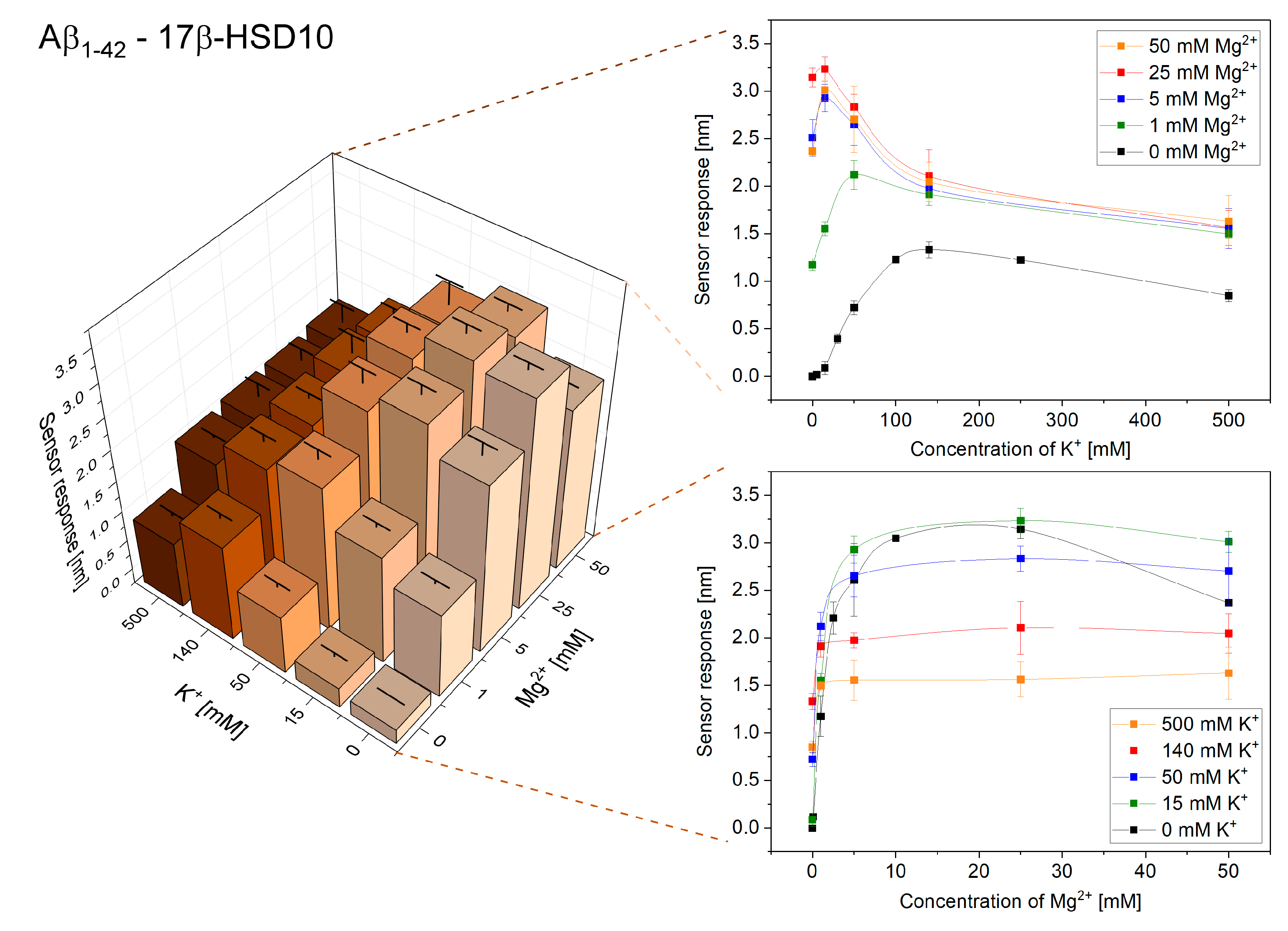 Ijms 21 09727 g005 Ijms 21 09727 g005