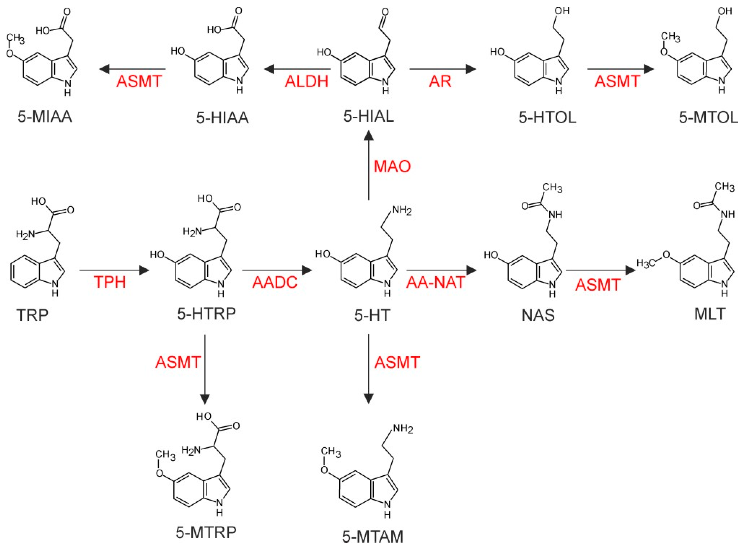 Ijms 21 09750 g0a1 Ijms 21 09750 g0a1