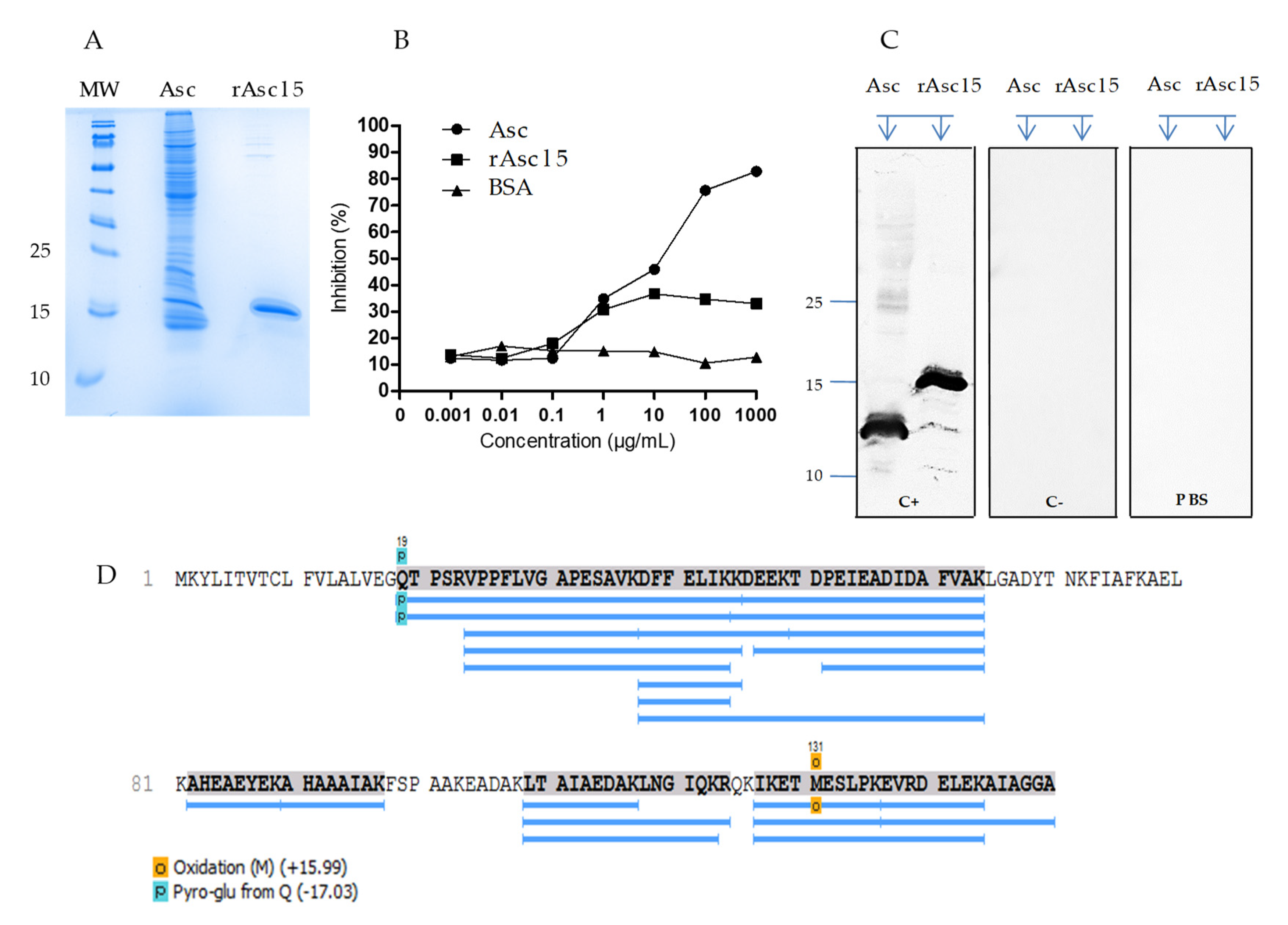 Ijms 21 09761 g002 Ijms 21 09761 g002
