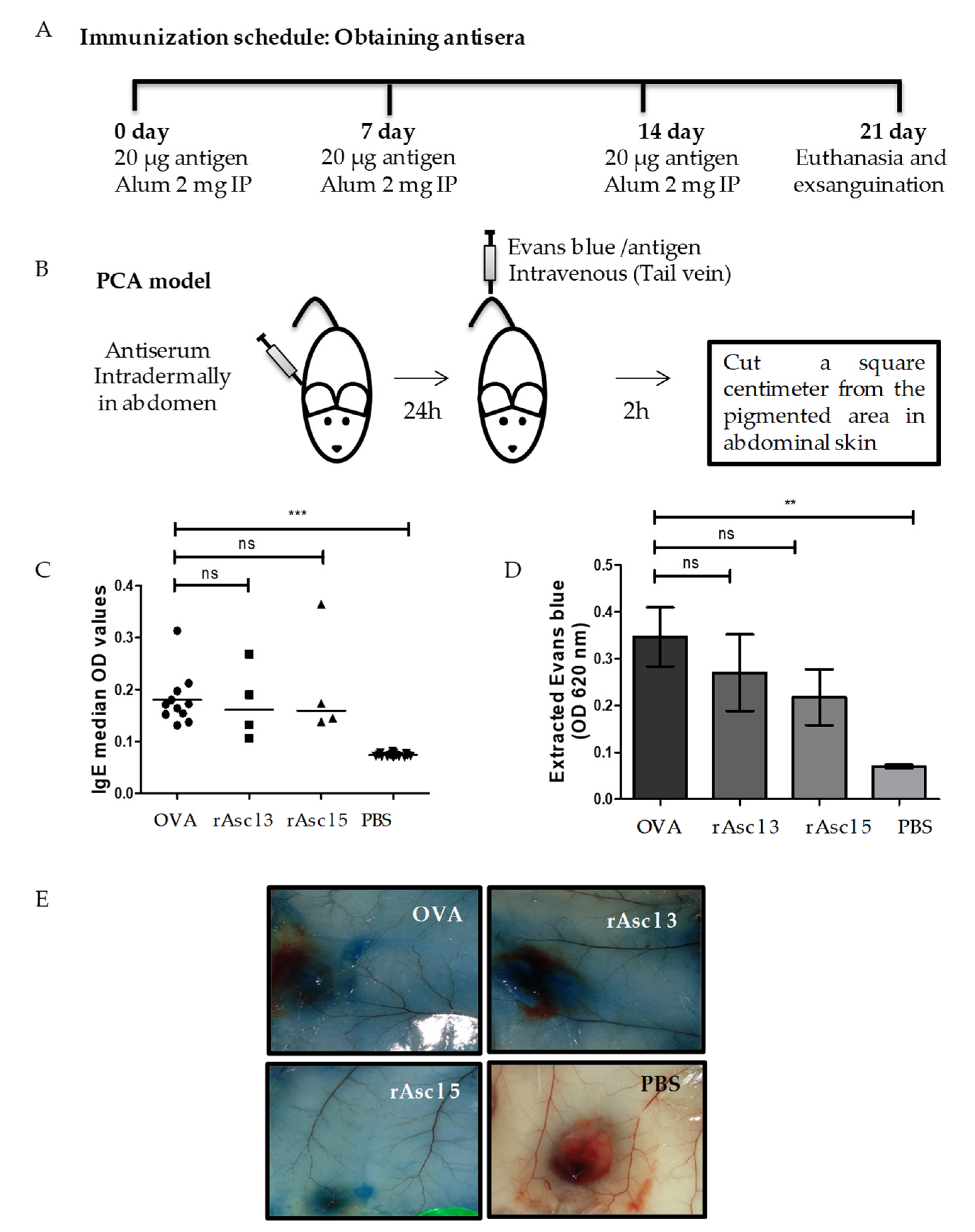 Ijms 21 09761 g005 Ijms 21 09761 g005