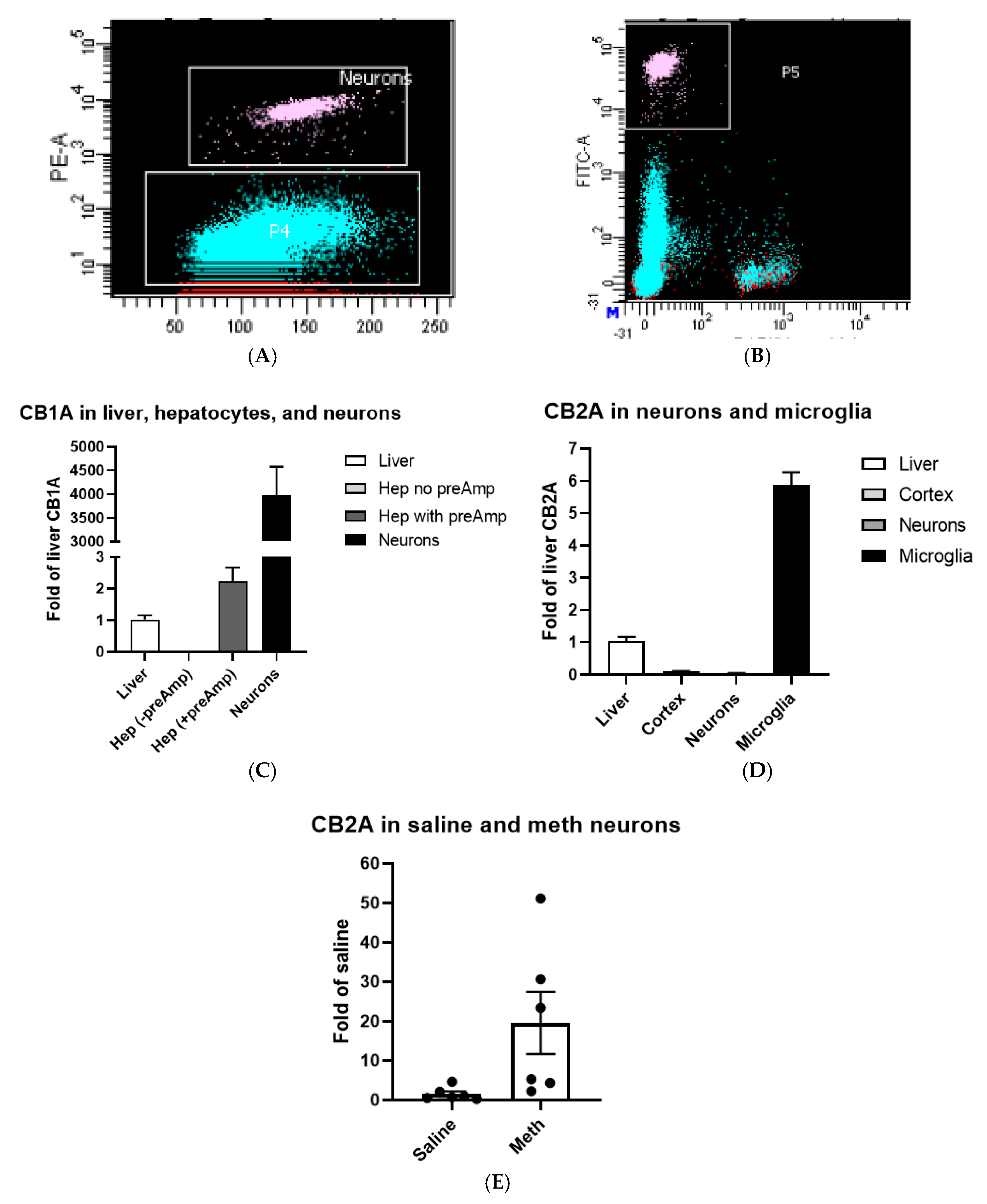 Ijms 21 09763 g002 Ijms 21 09763 g002