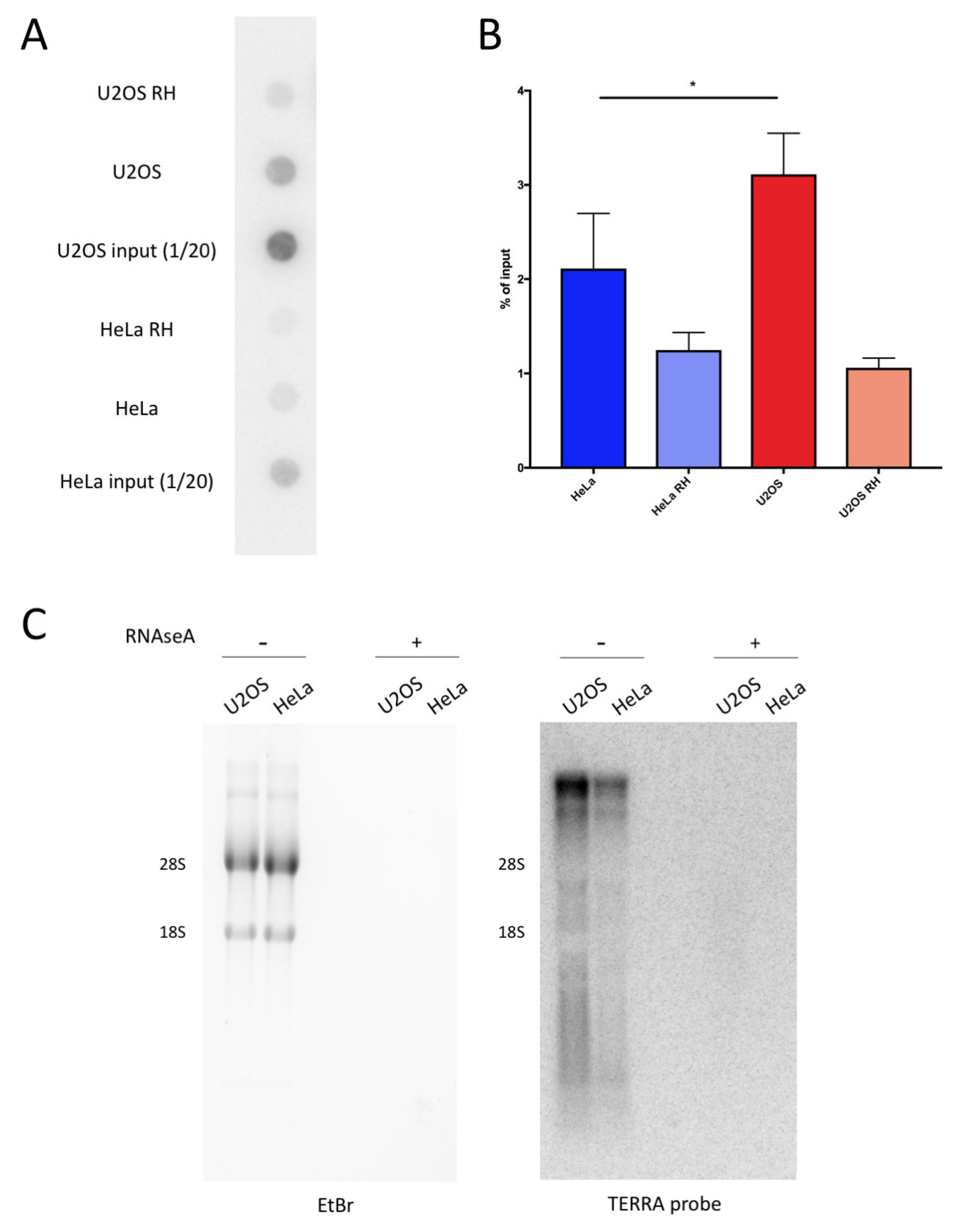 Ijms 21 09774 g002 Ijms 21 09774 g002