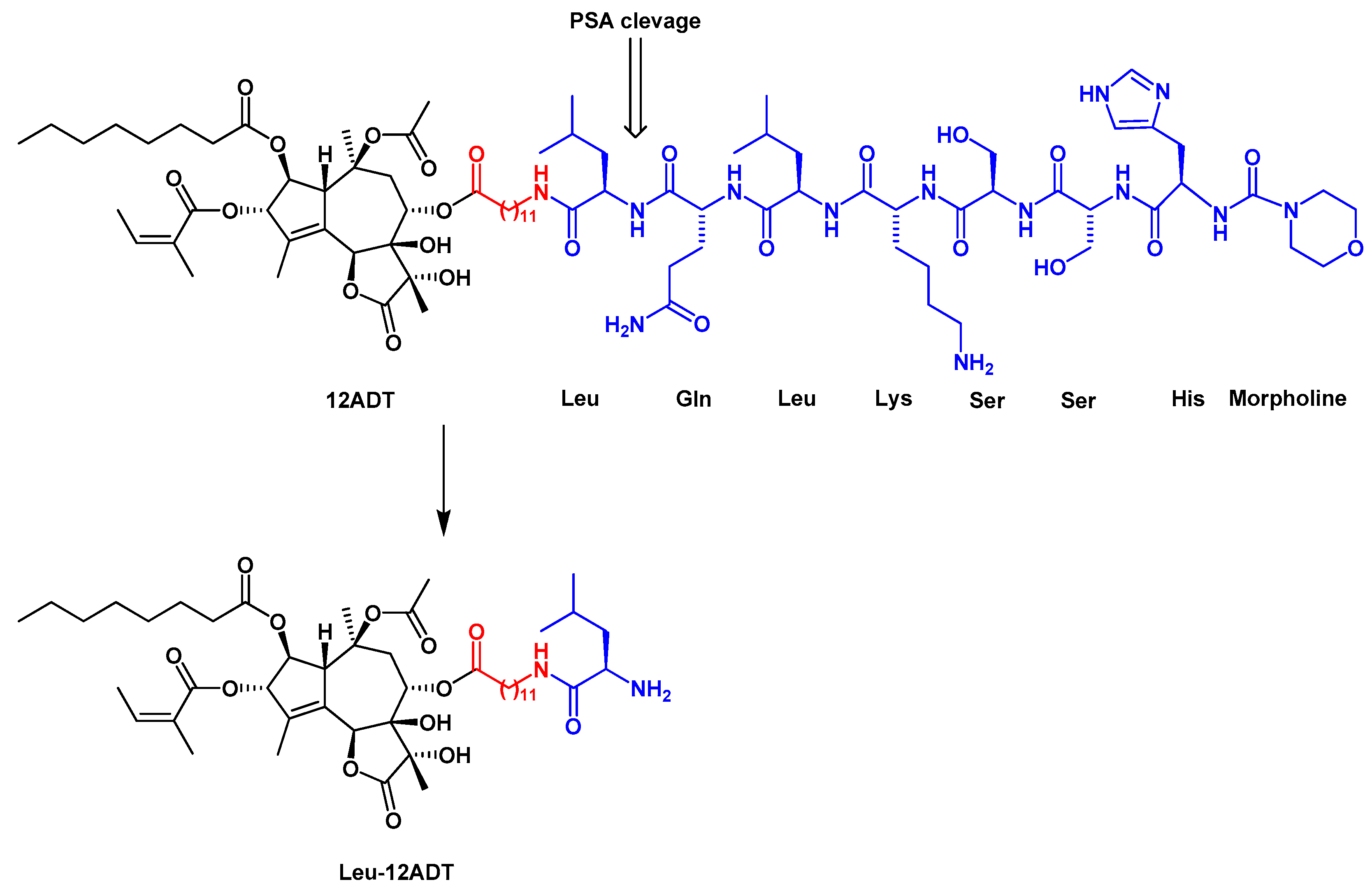 Ijms 22 00004 g003 Ijms 22 00004 g003