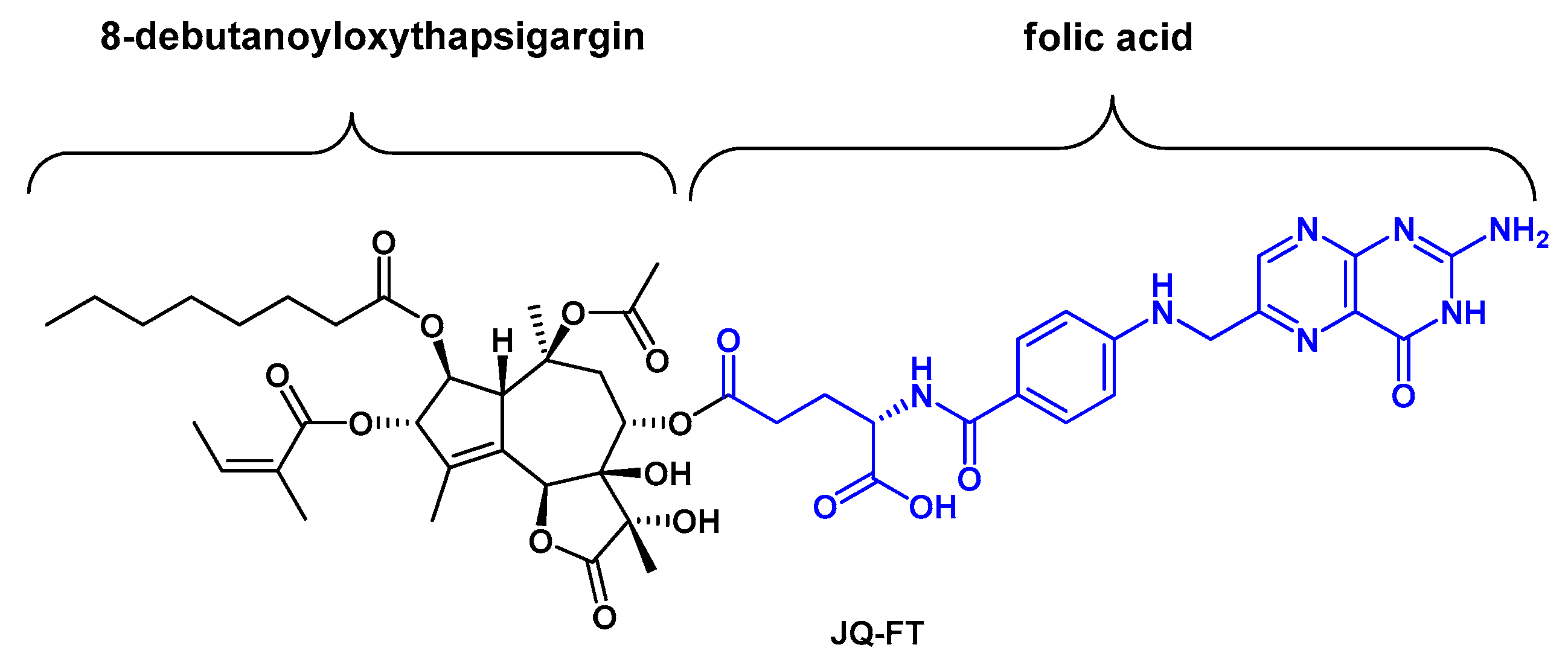 Ijms 22 00004 g005 Ijms 22 00004 g005