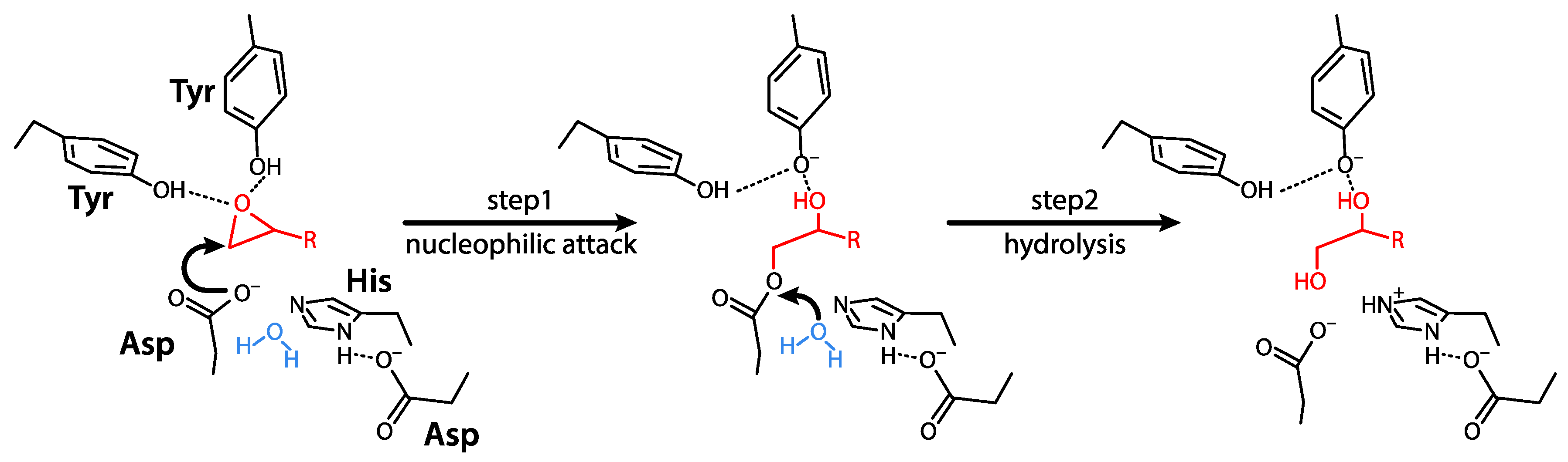 Ijms 22 00013 g001 Ijms 22 00013 g001