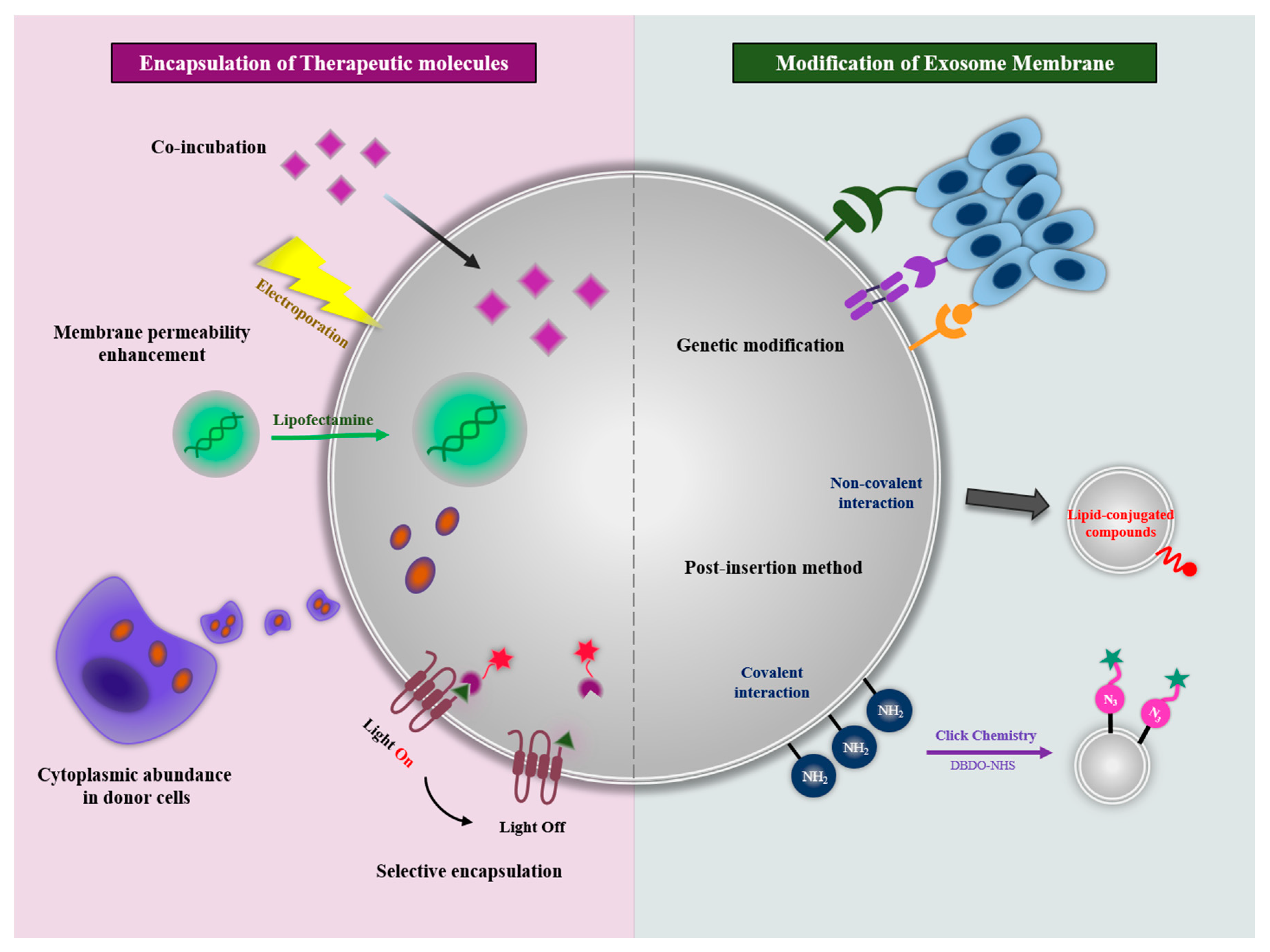 gastrointestinal mesothelioma