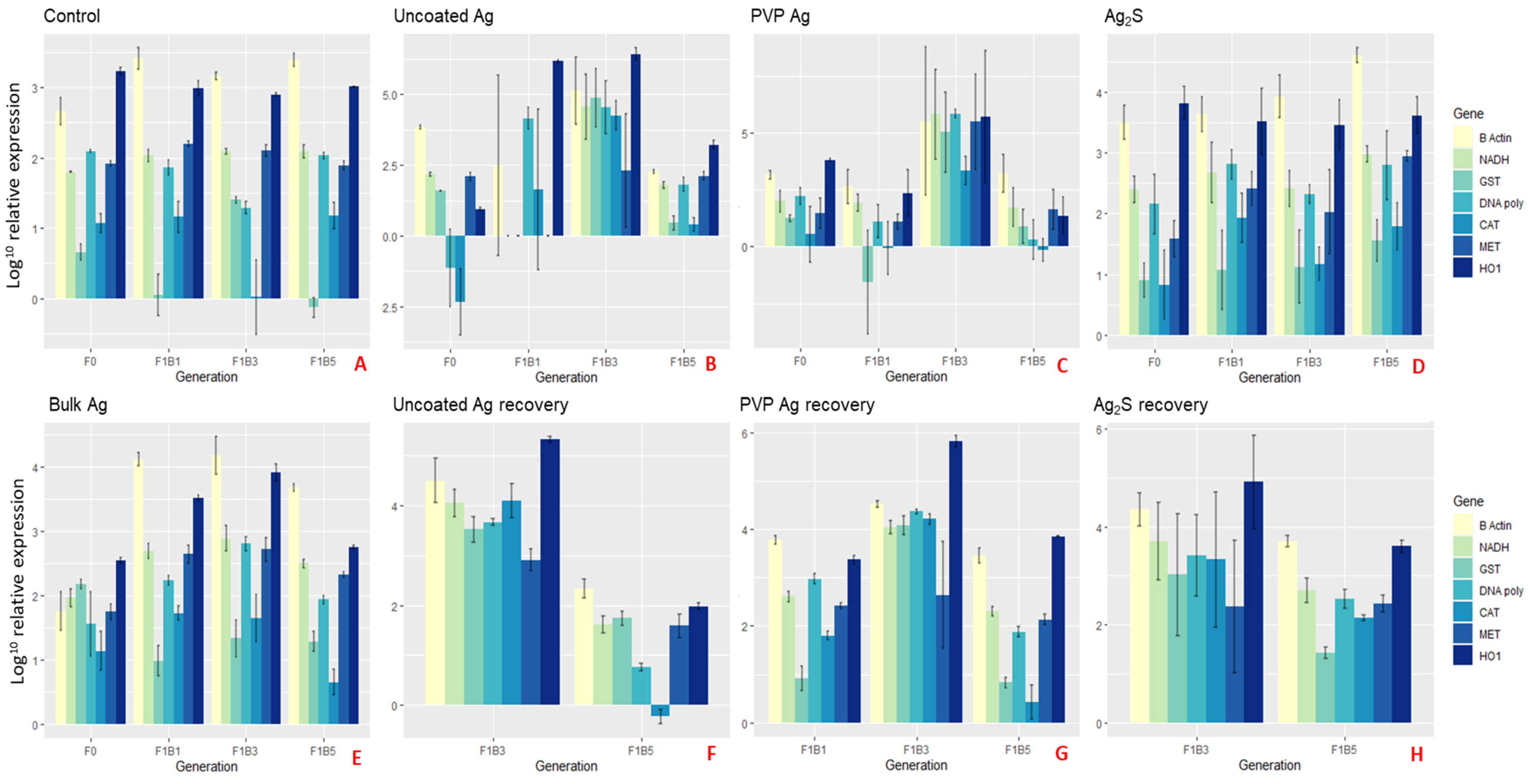 Ijms 22 00015 g005 Ijms 22 00015 g005