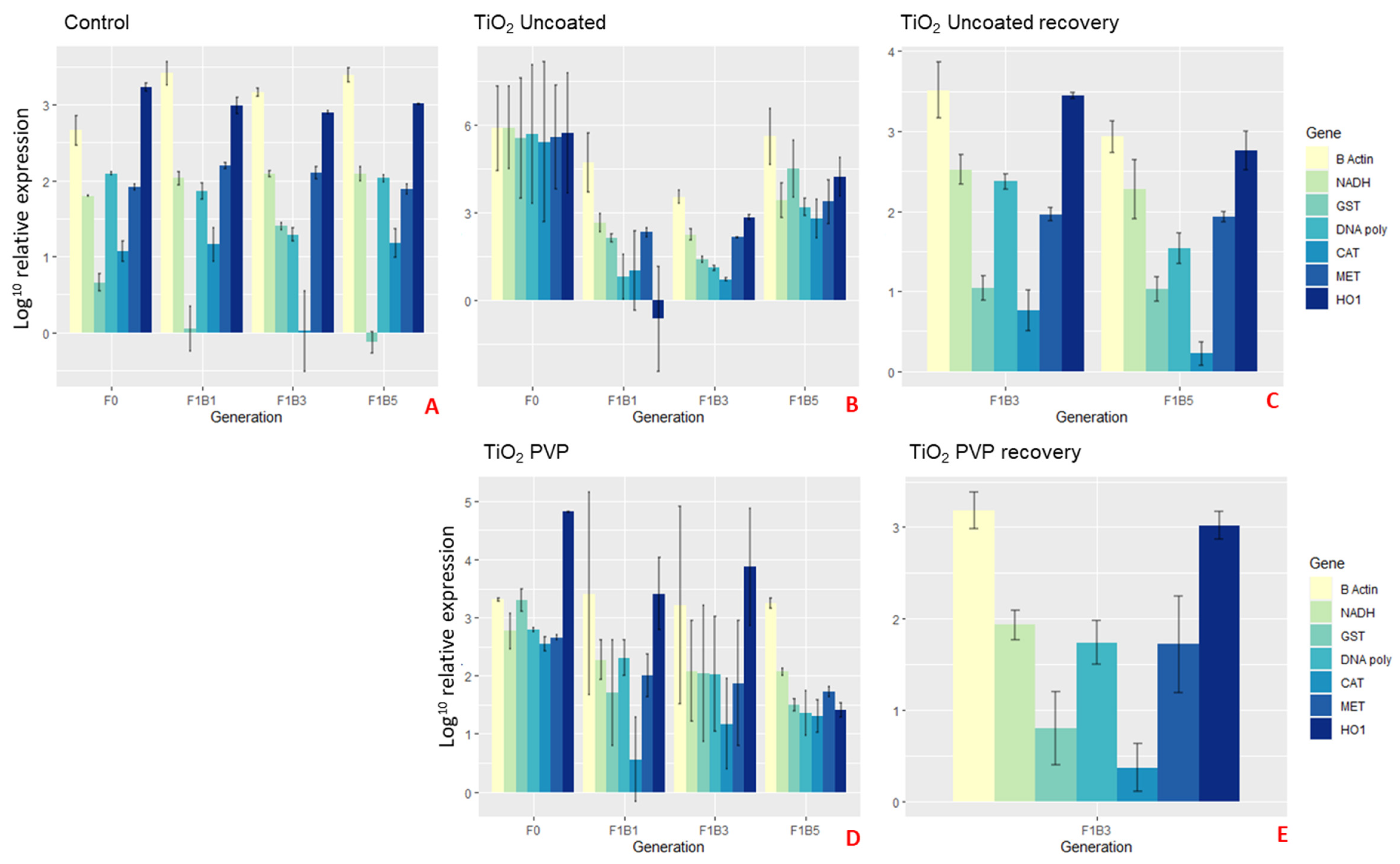 Ijms 22 00015 g006 Ijms 22 00015 g006