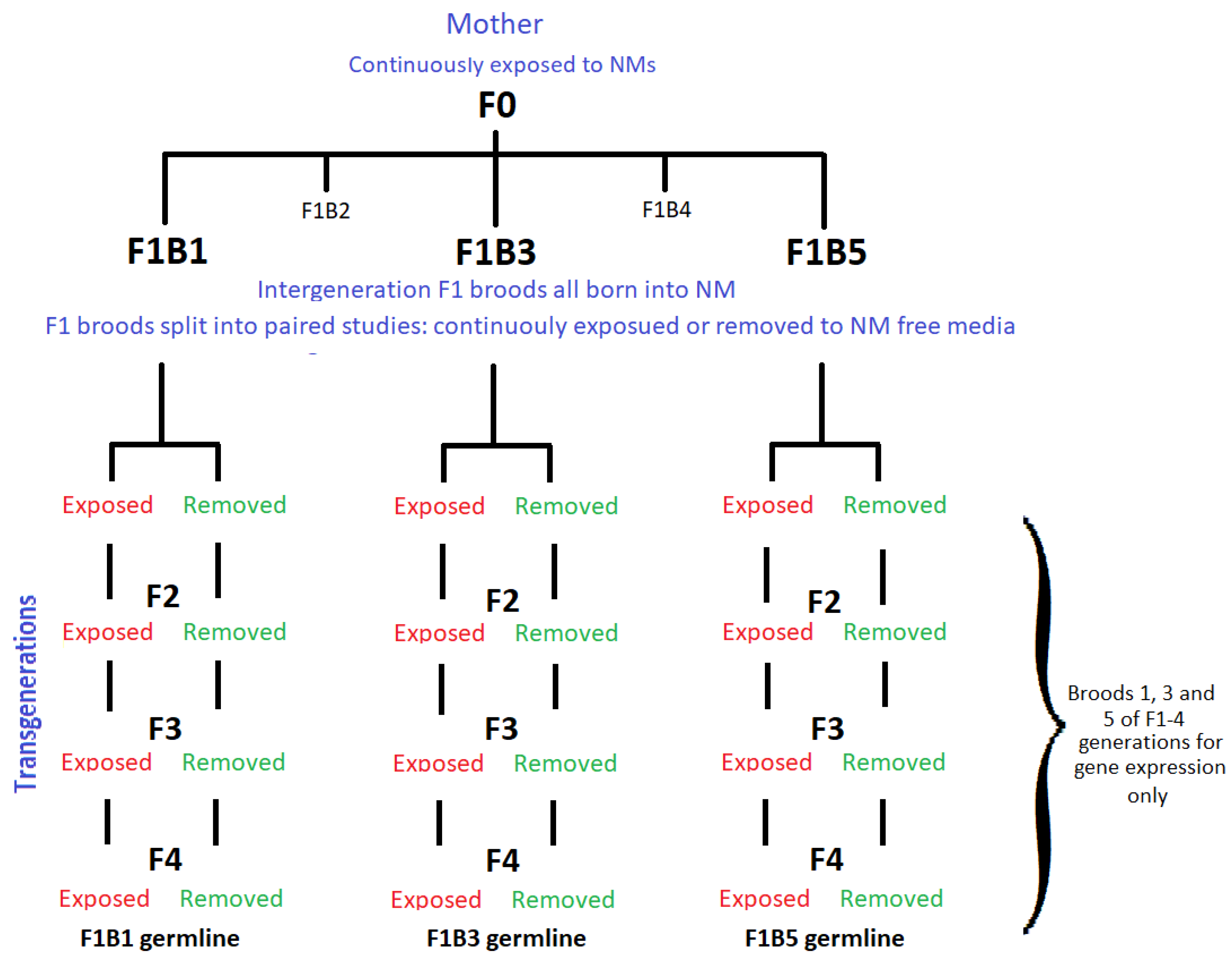 Ijms 22 00015 g007 Ijms 22 00015 g007