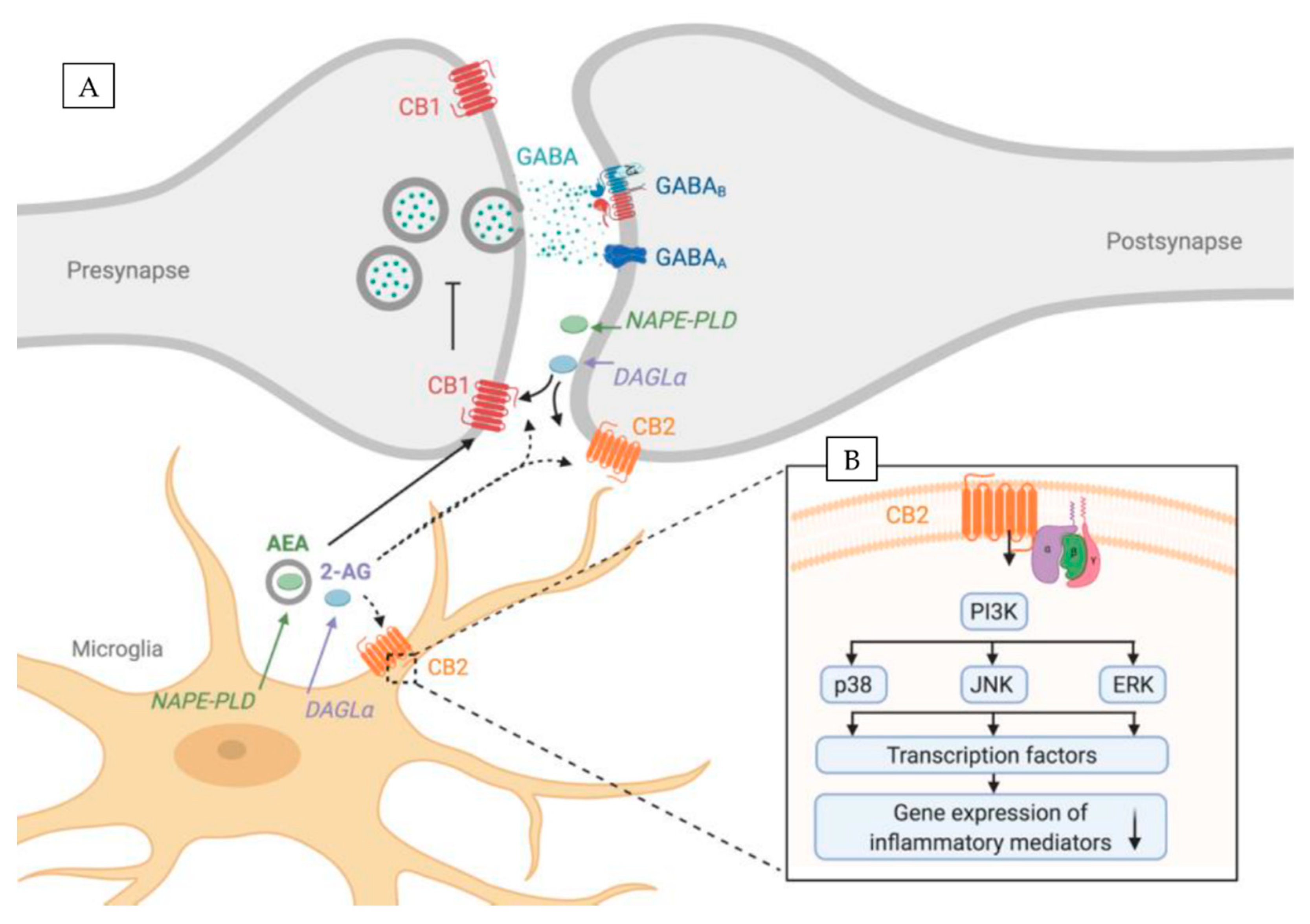 Ijms 22 00019 g001 Ijms 22 00019 g001