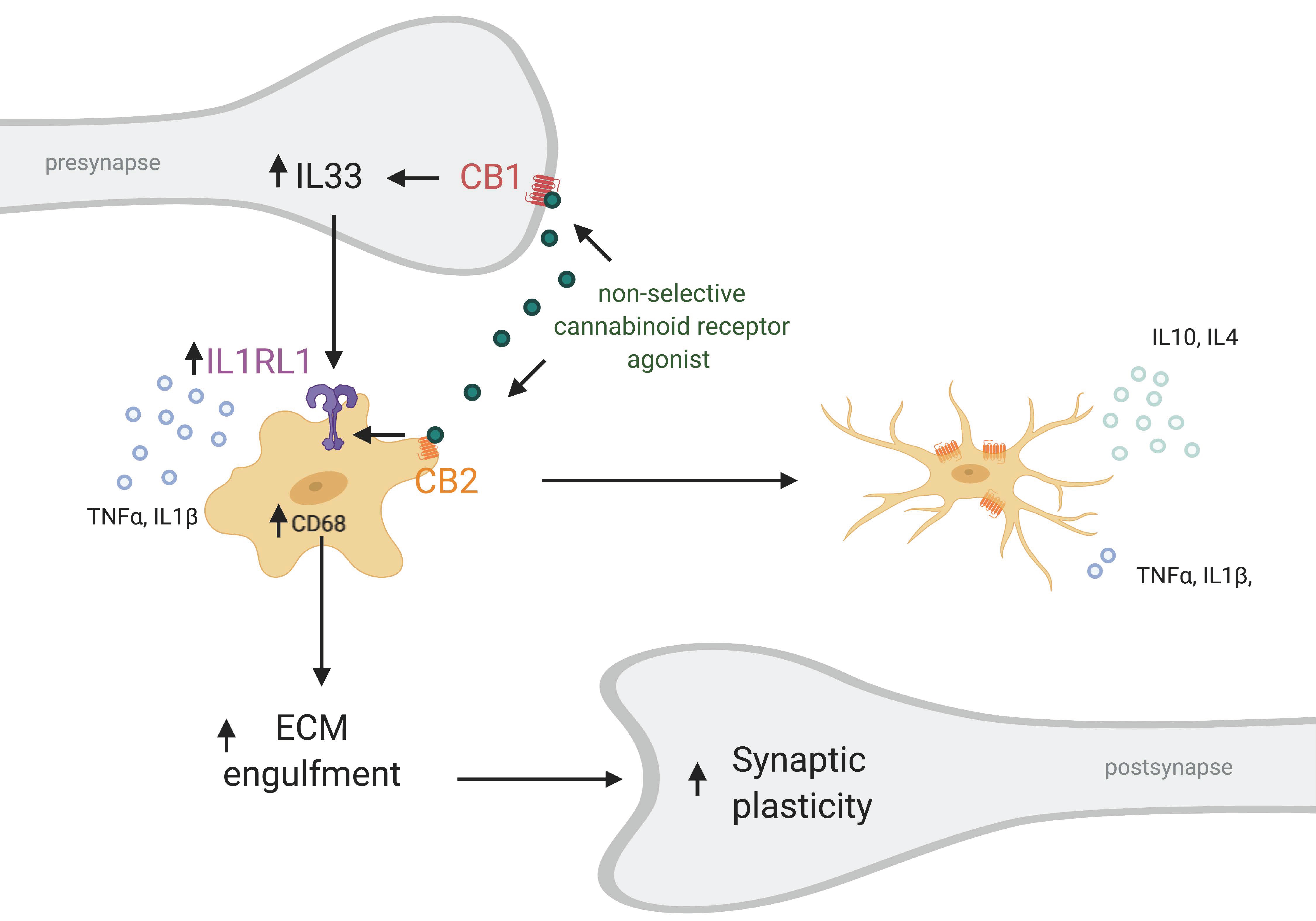 Ijms 22 00019 g003 Ijms 22 00019 g003