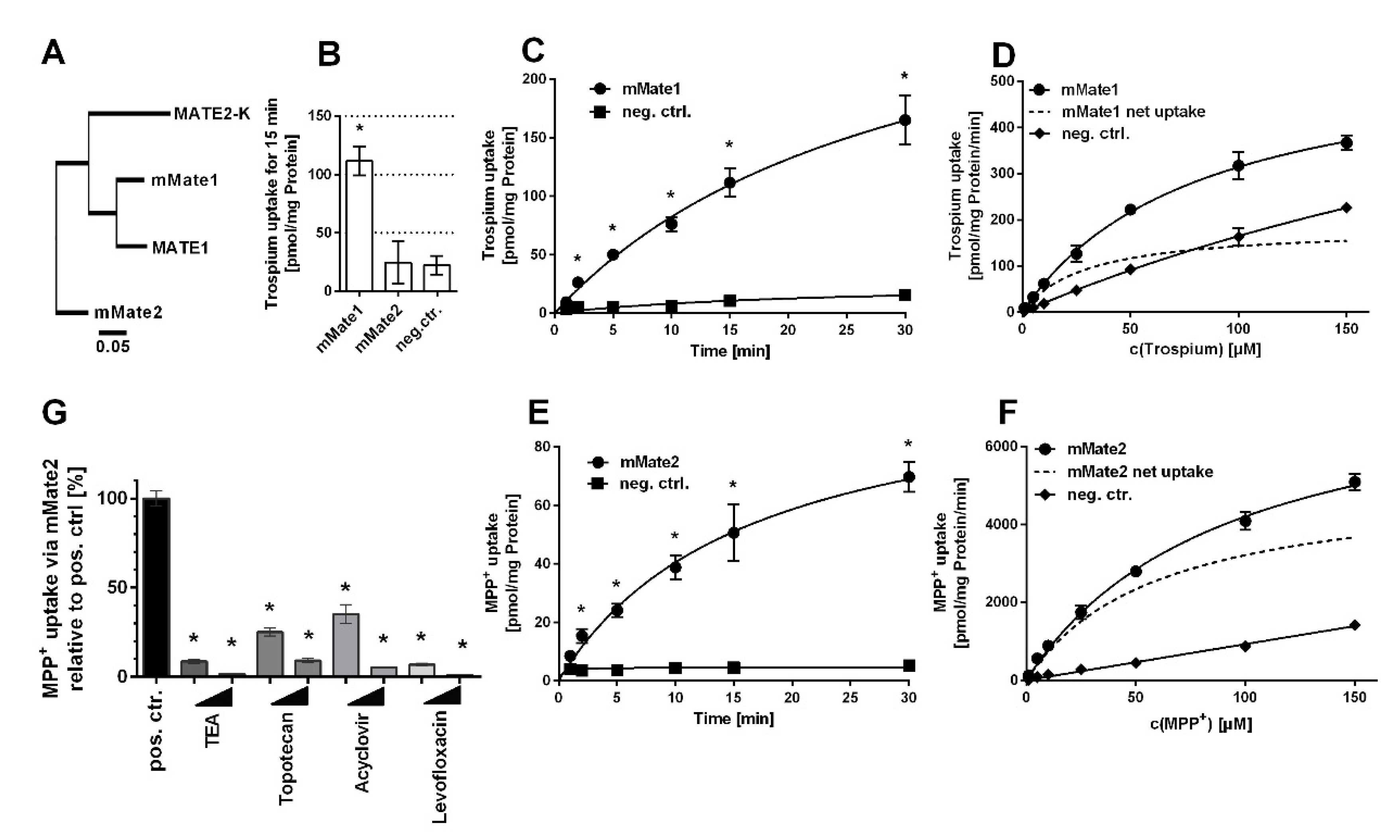 Ijms 22 00022 g002 Ijms 22 00022 g002