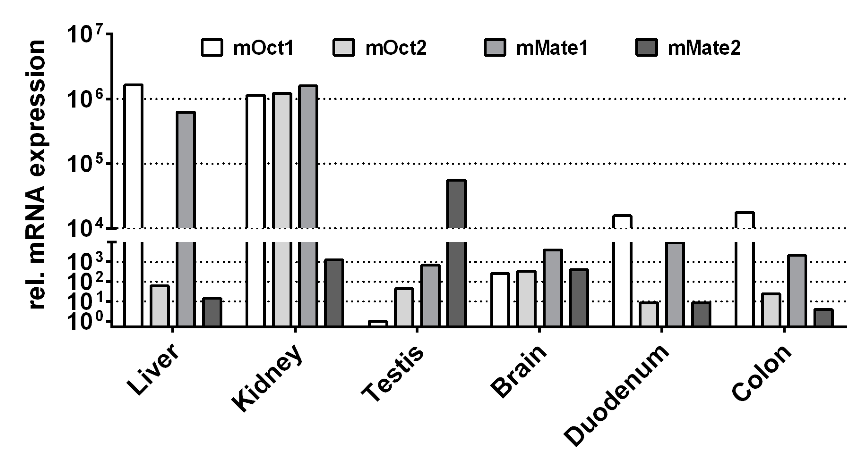 Ijms 22 00022 g003 Ijms 22 00022 g003