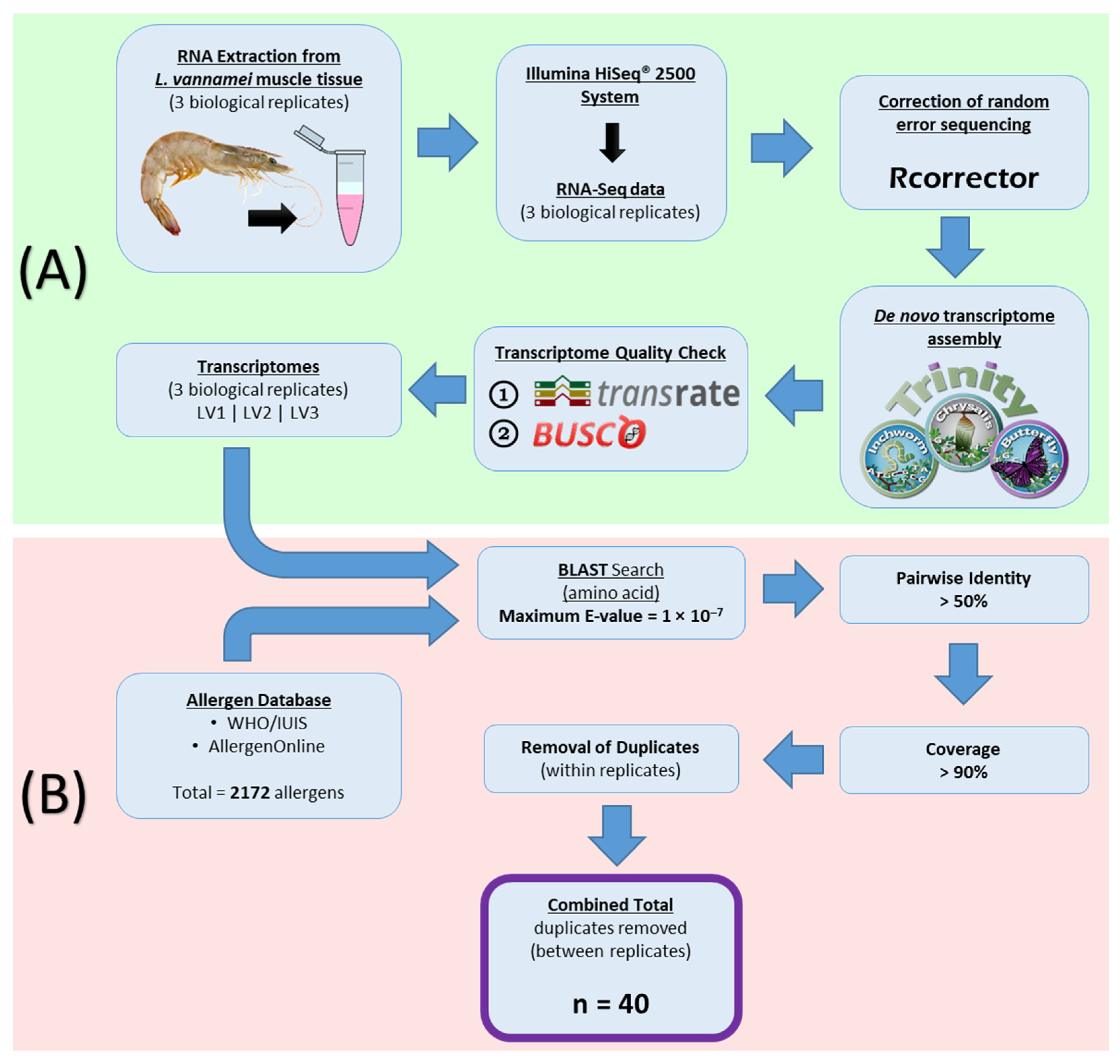 IJMS | Free Full-Text | Novel Allergen Discovery through