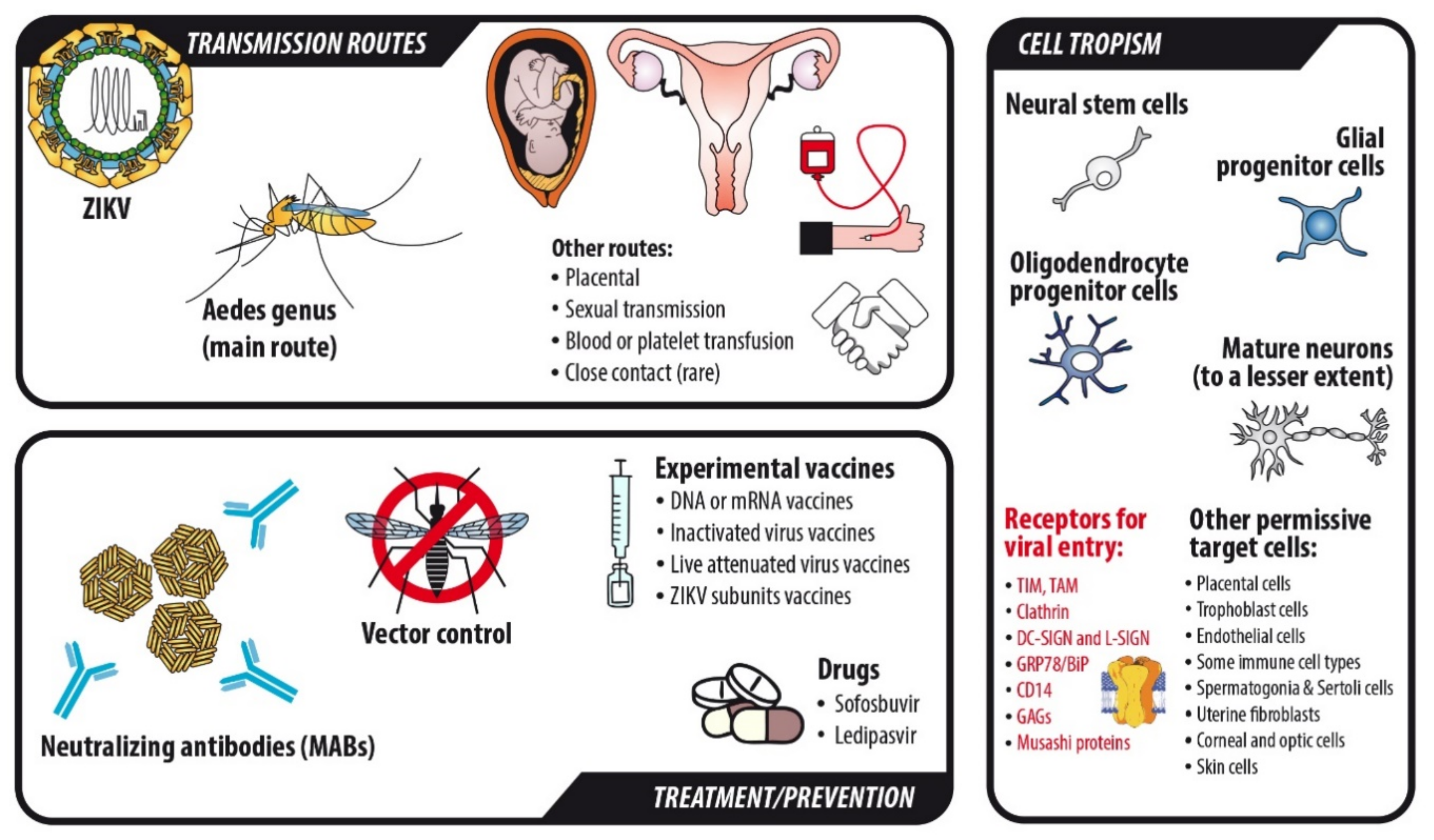 Ijms 22 00035 g001 Ijms 22 00035 g001