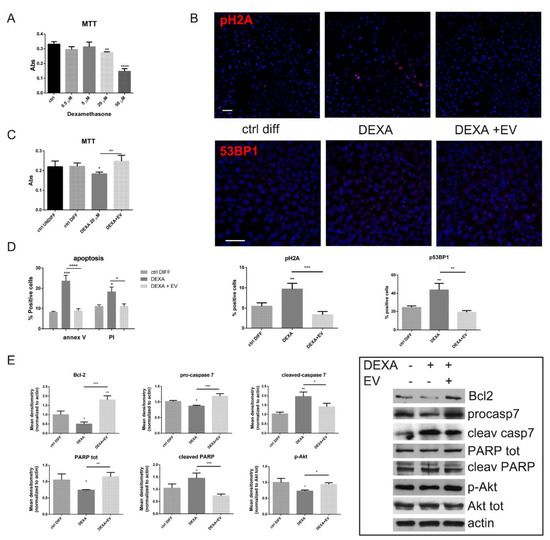 Amniotic Fluid Stem Cell-Derived Extracellular Vesicles Counteract