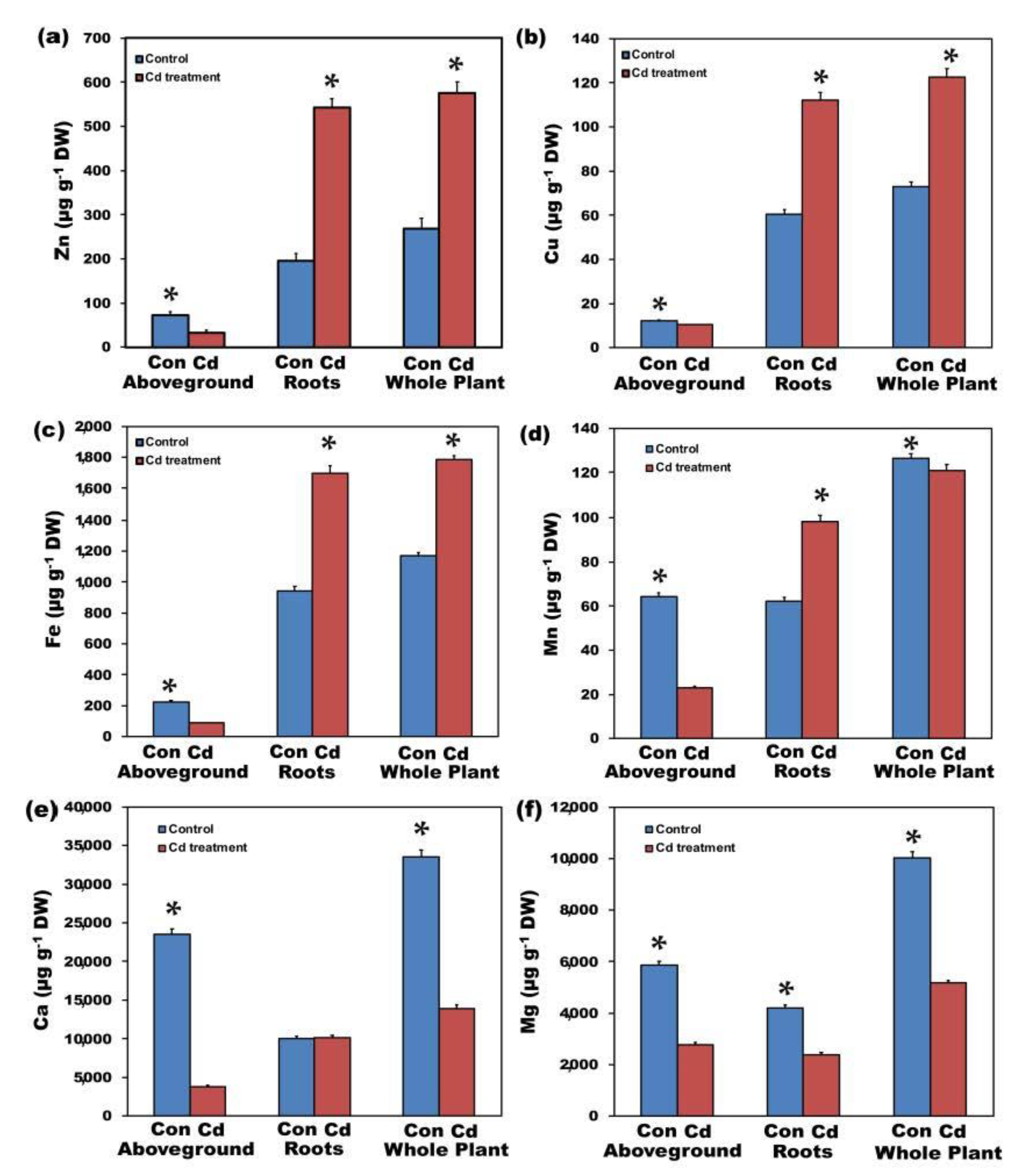 Ijms 22 00041 g002 Ijms 22 00041 g002