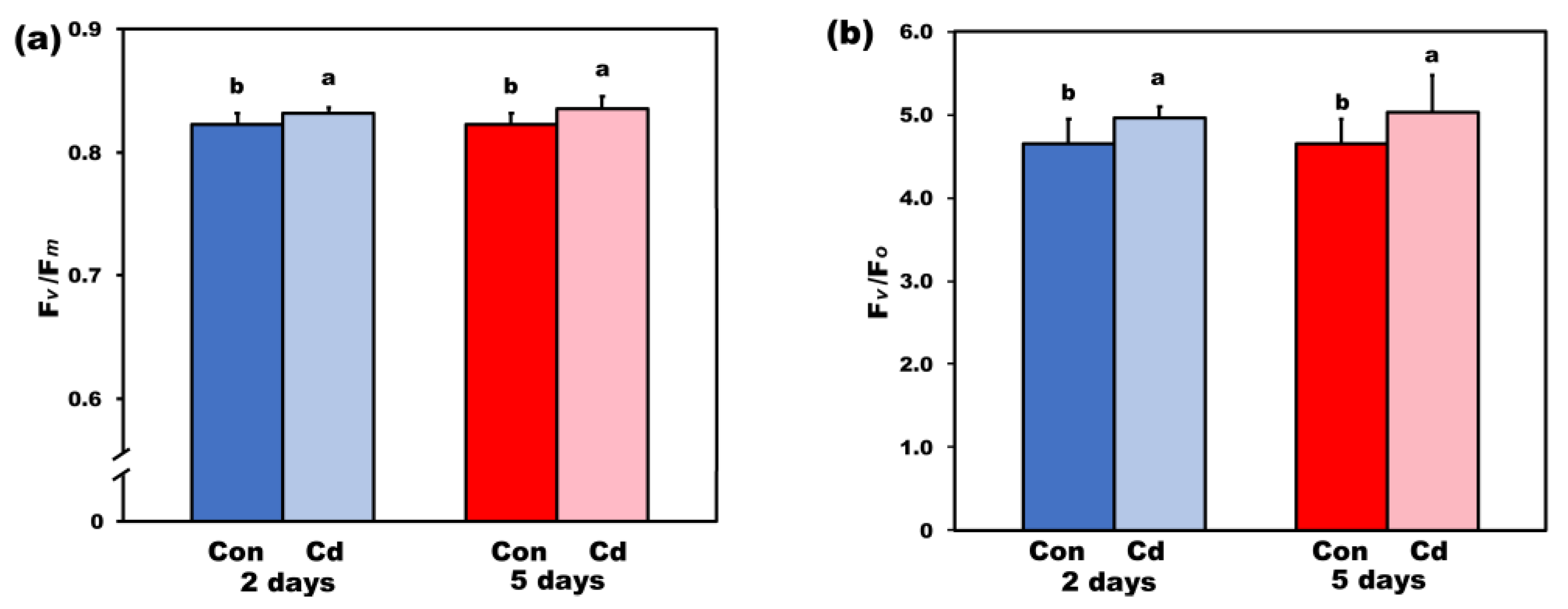 Ijms 22 00041 g004 Ijms 22 00041 g004