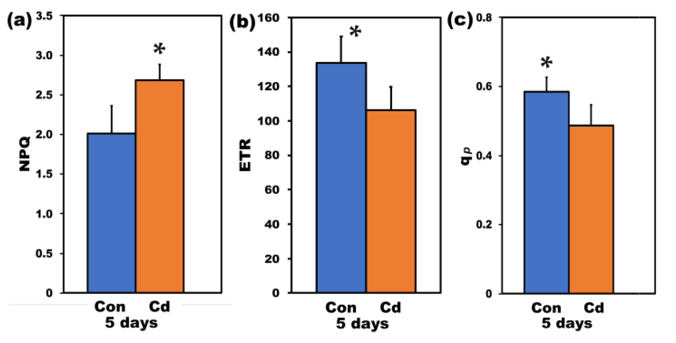 Ijms 22 00041 g008 Ijms 22 00041 g008