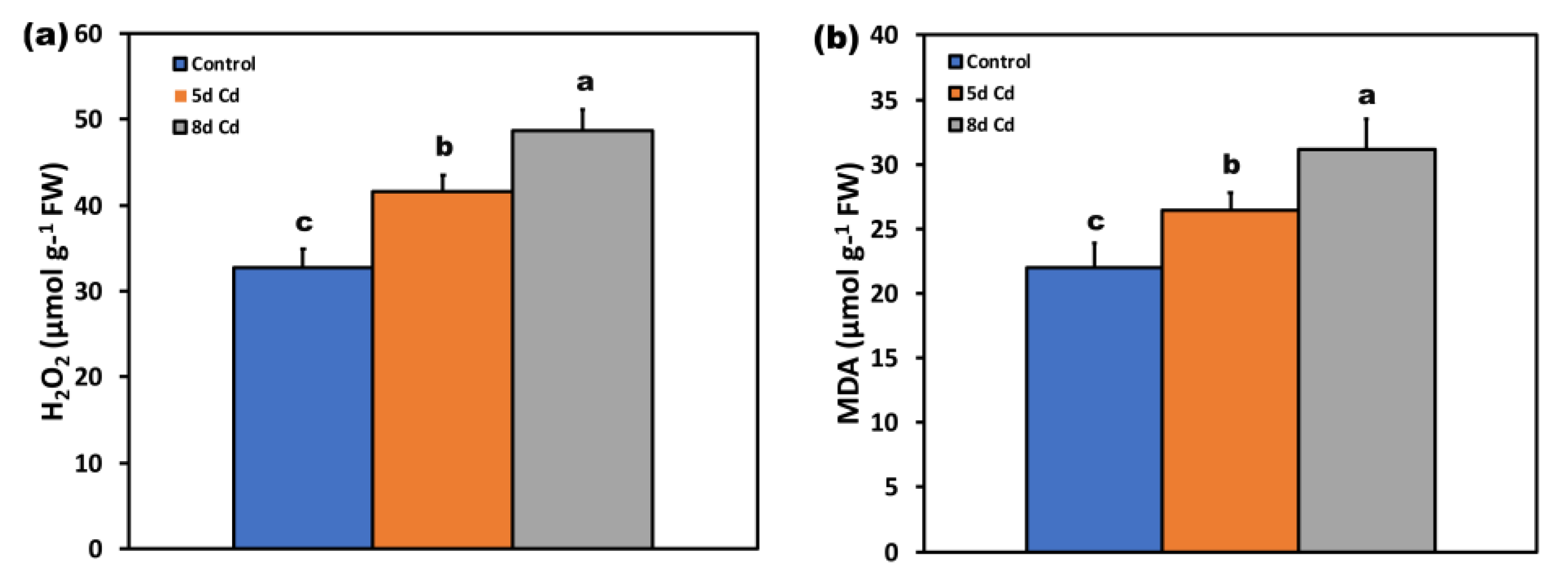 Ijms 22 00041 g011 Ijms 22 00041 g011