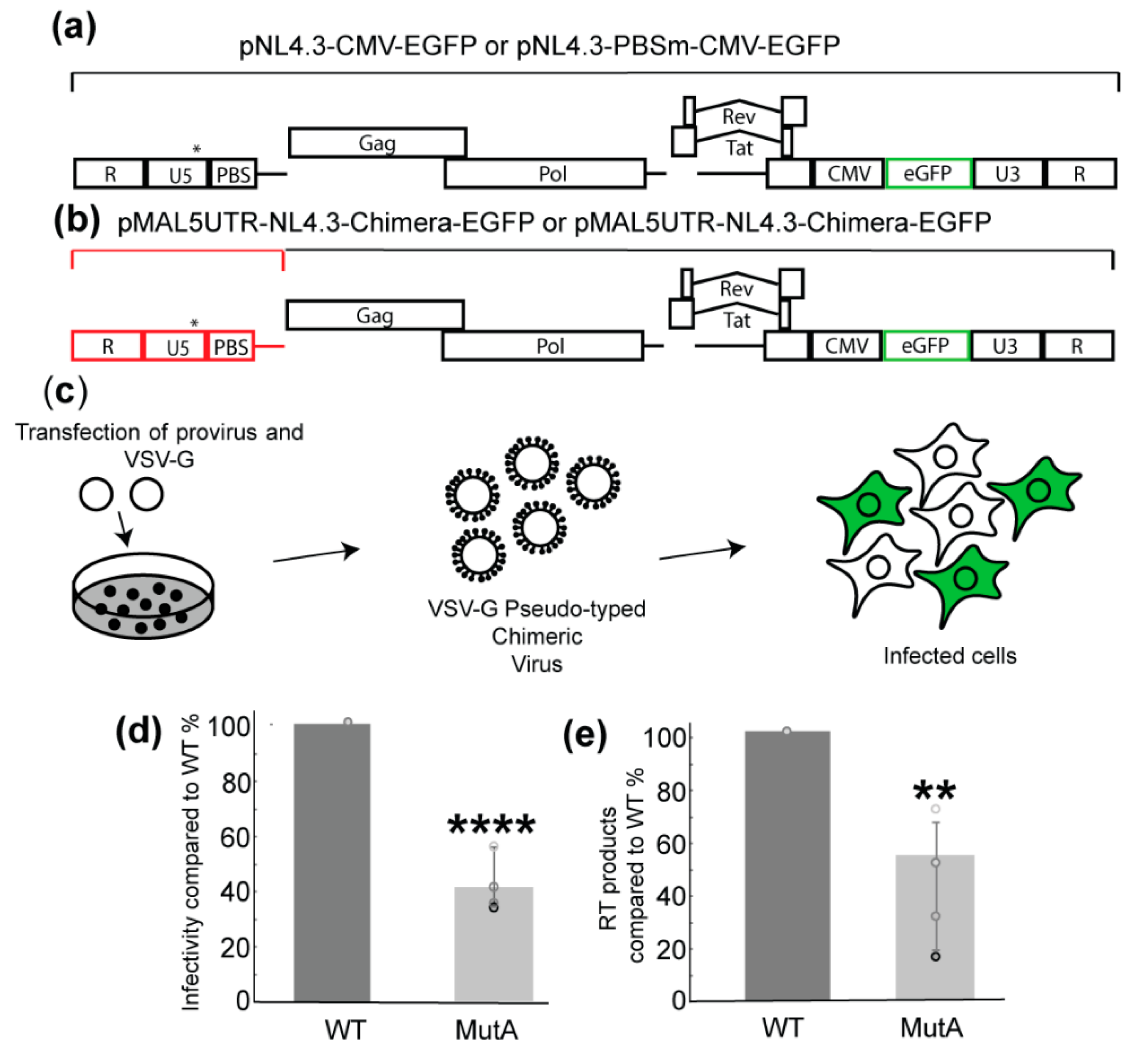 Ijms 22 00058 g002 Ijms 22 00058 g002