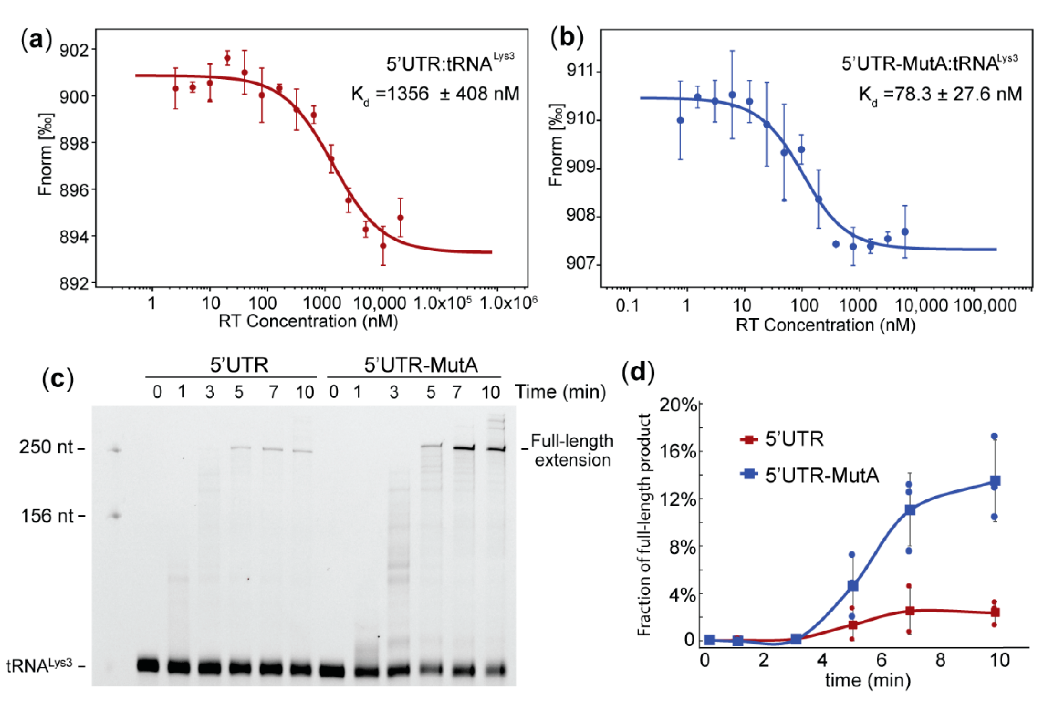 Ijms 22 00058 g003 Ijms 22 00058 g003