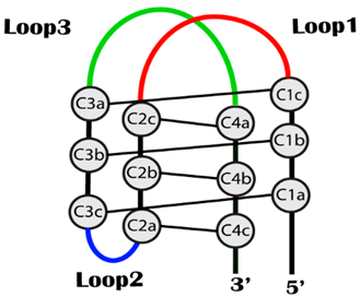 Ijms 22 00061 i001 Ijms 22 00061 i001