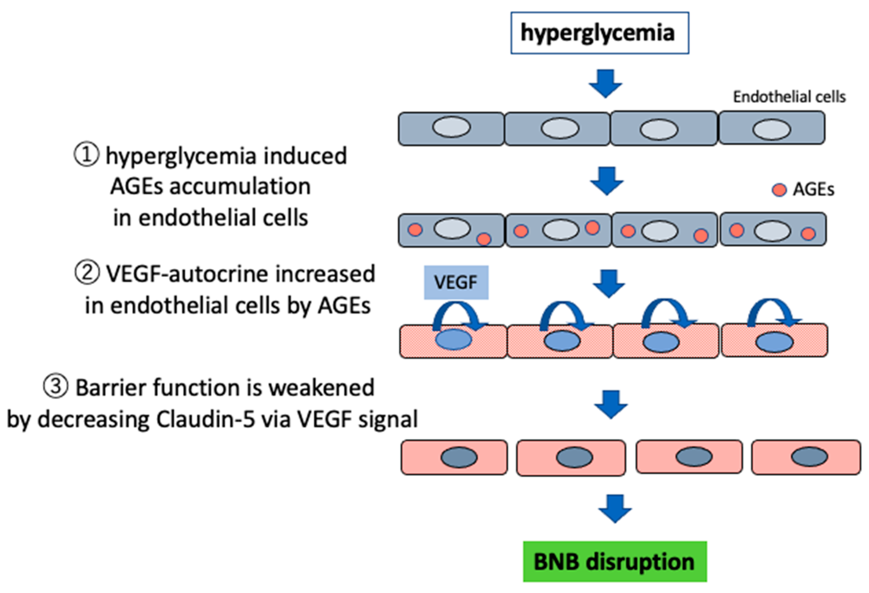 Ijms 22 00062 g004 Ijms 22 00062 g004