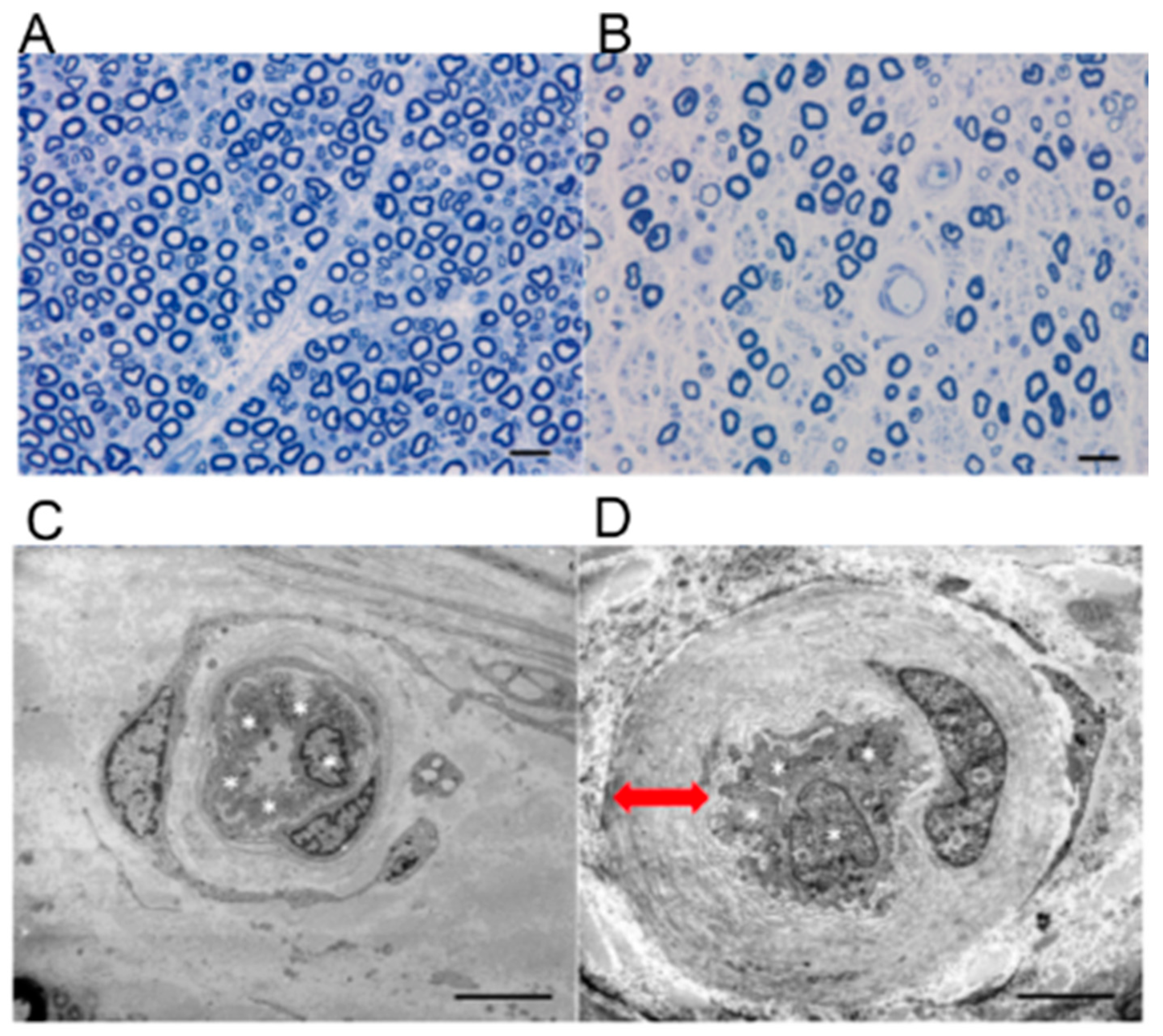 Ijms 22 00062 g005 Ijms 22 00062 g005