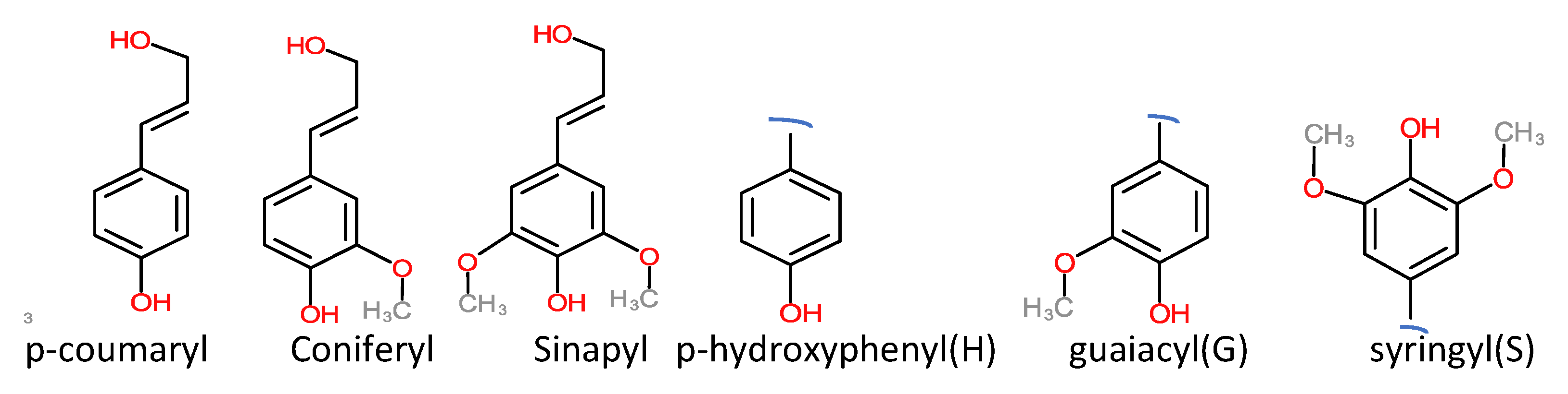 Ijms 22 00063 g002 Ijms 22 00063 g002