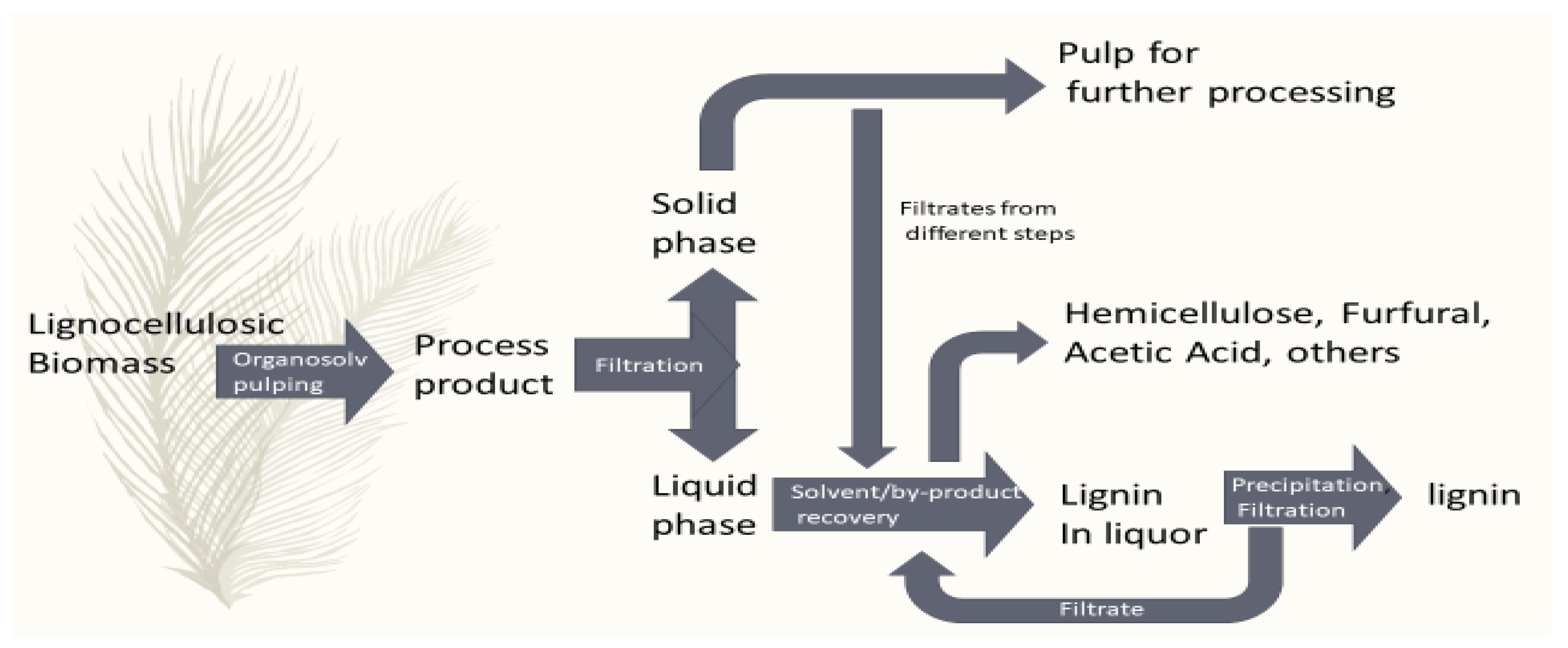 Ijms 22 00063 g007 Ijms 22 00063 g007