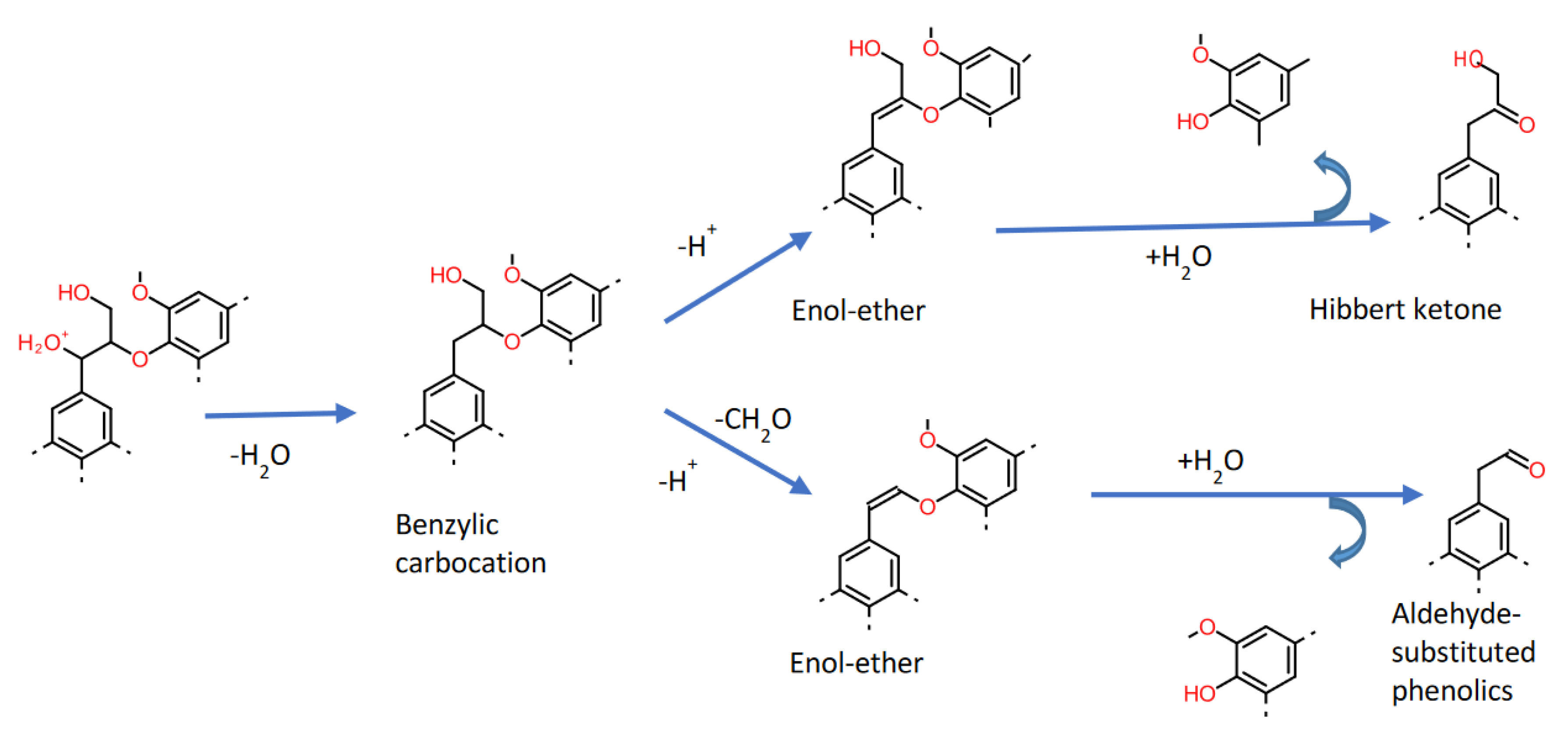 Ijms 22 00063 g010 Ijms 22 00063 g010