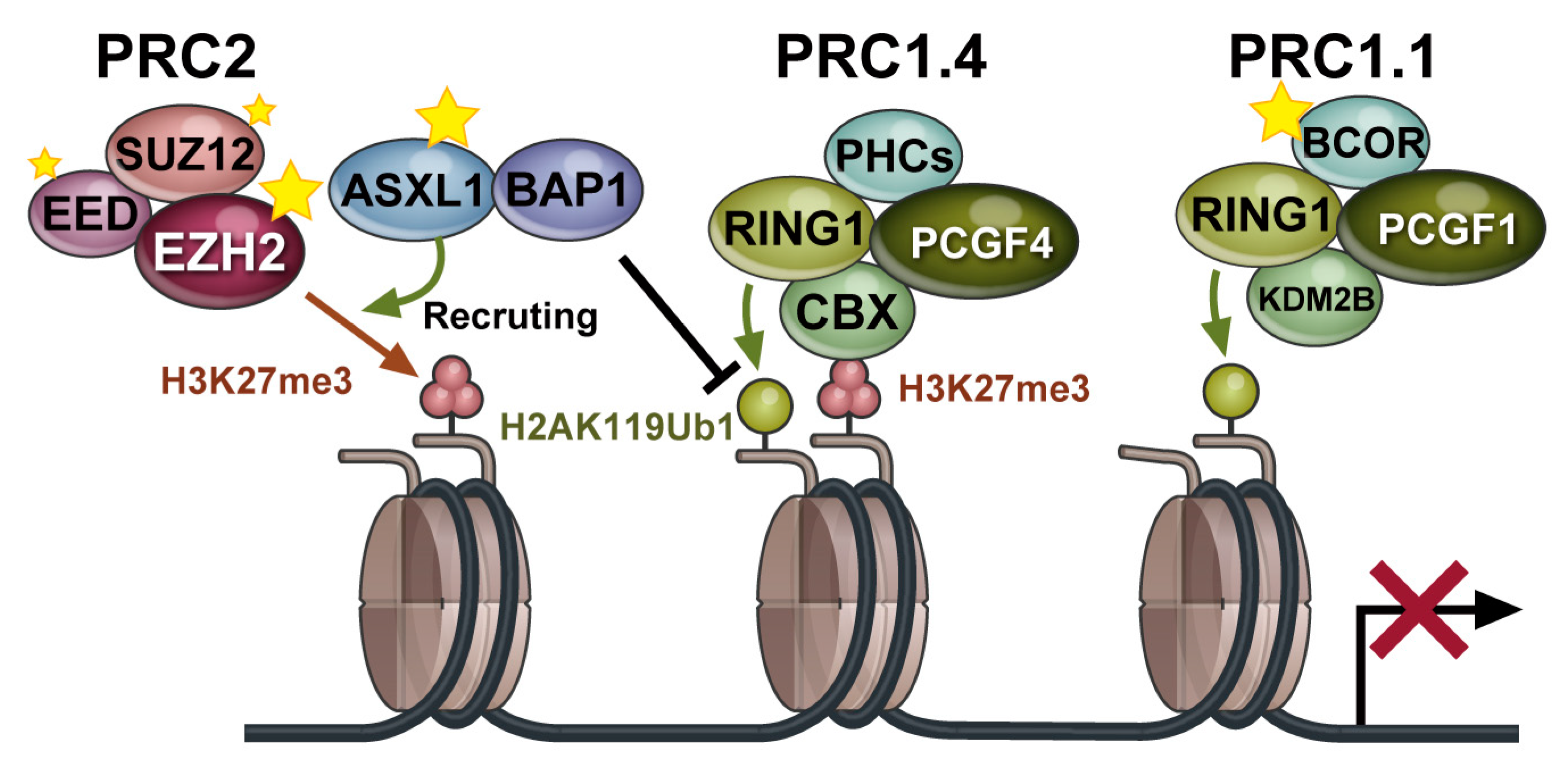 Ijms 22 00074 g001 Ijms 22 00074 g001