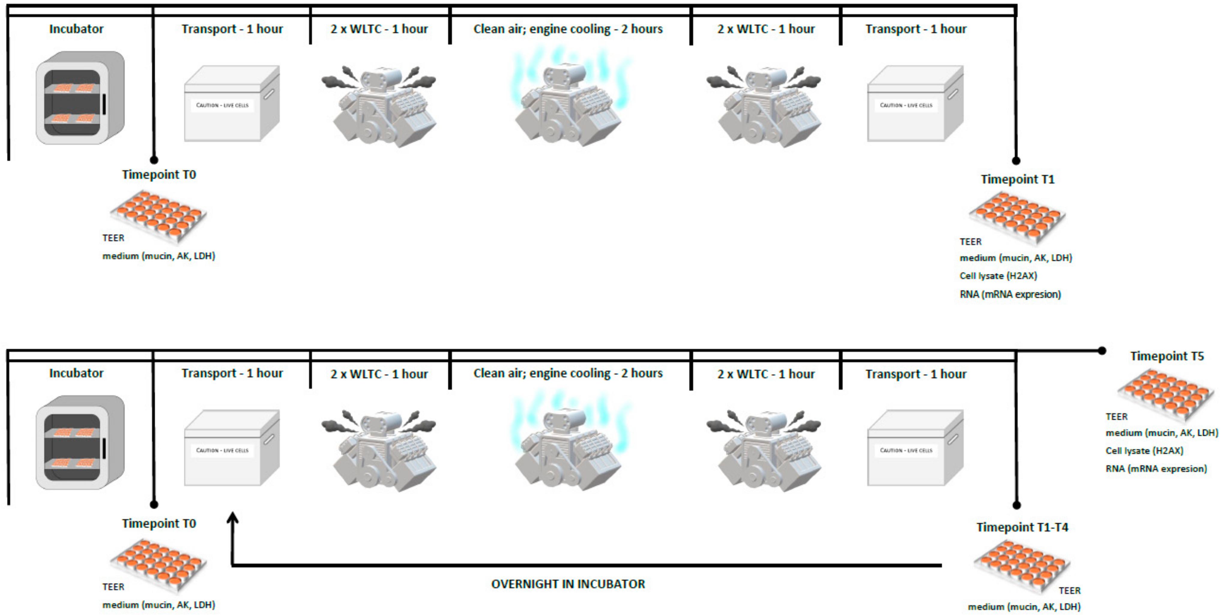 Ijms 22 00079 g007 Ijms 22 00079 g007