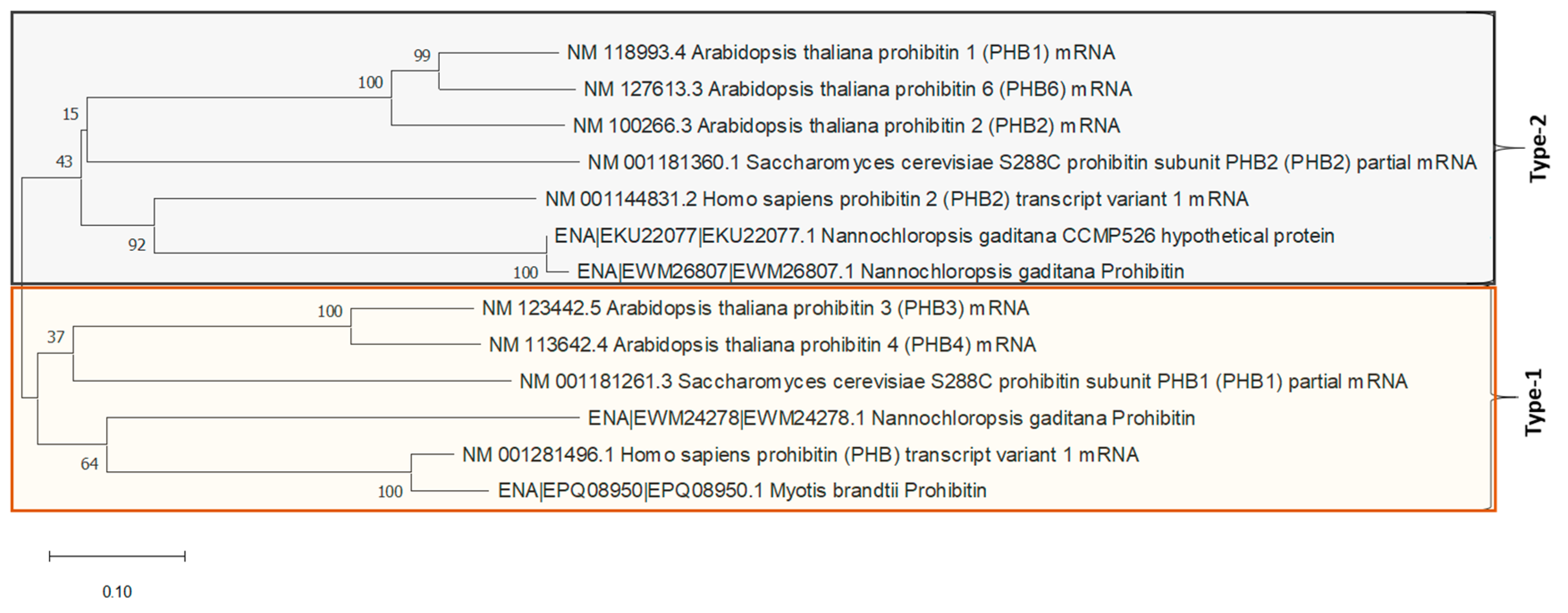 Ijms 22 00096 g001 Ijms 22 00096 g001